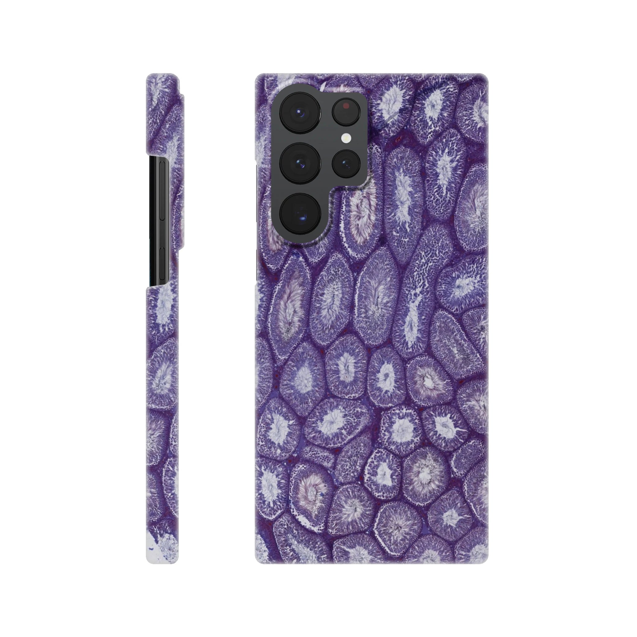 03cbbccf-7d7d-4240-8a44-3a720a6c015c