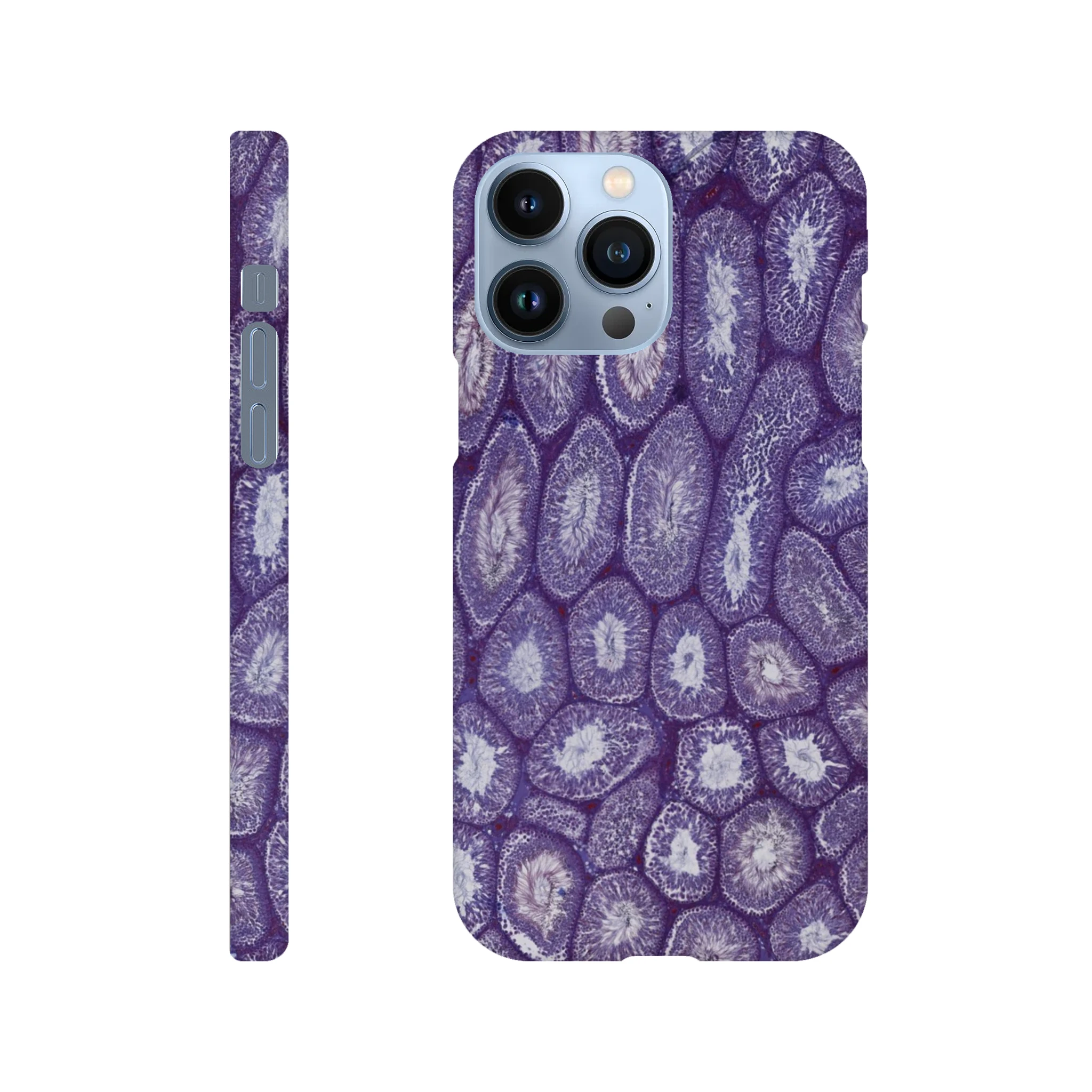 04b04341-45d8-463d-ab92-85a6fae60ab9