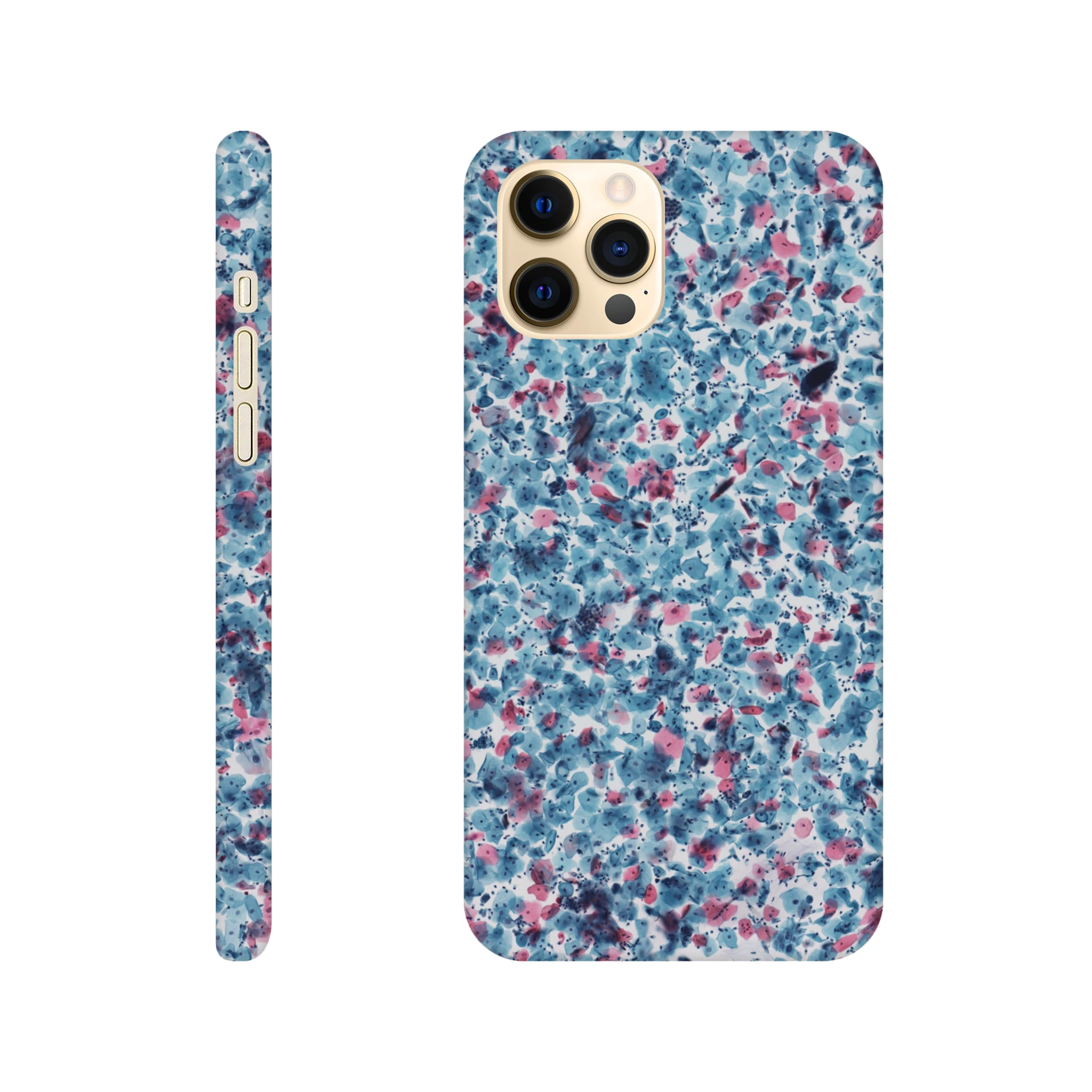 06f4ae26-b516-429d-bbc6-f4648f52c829