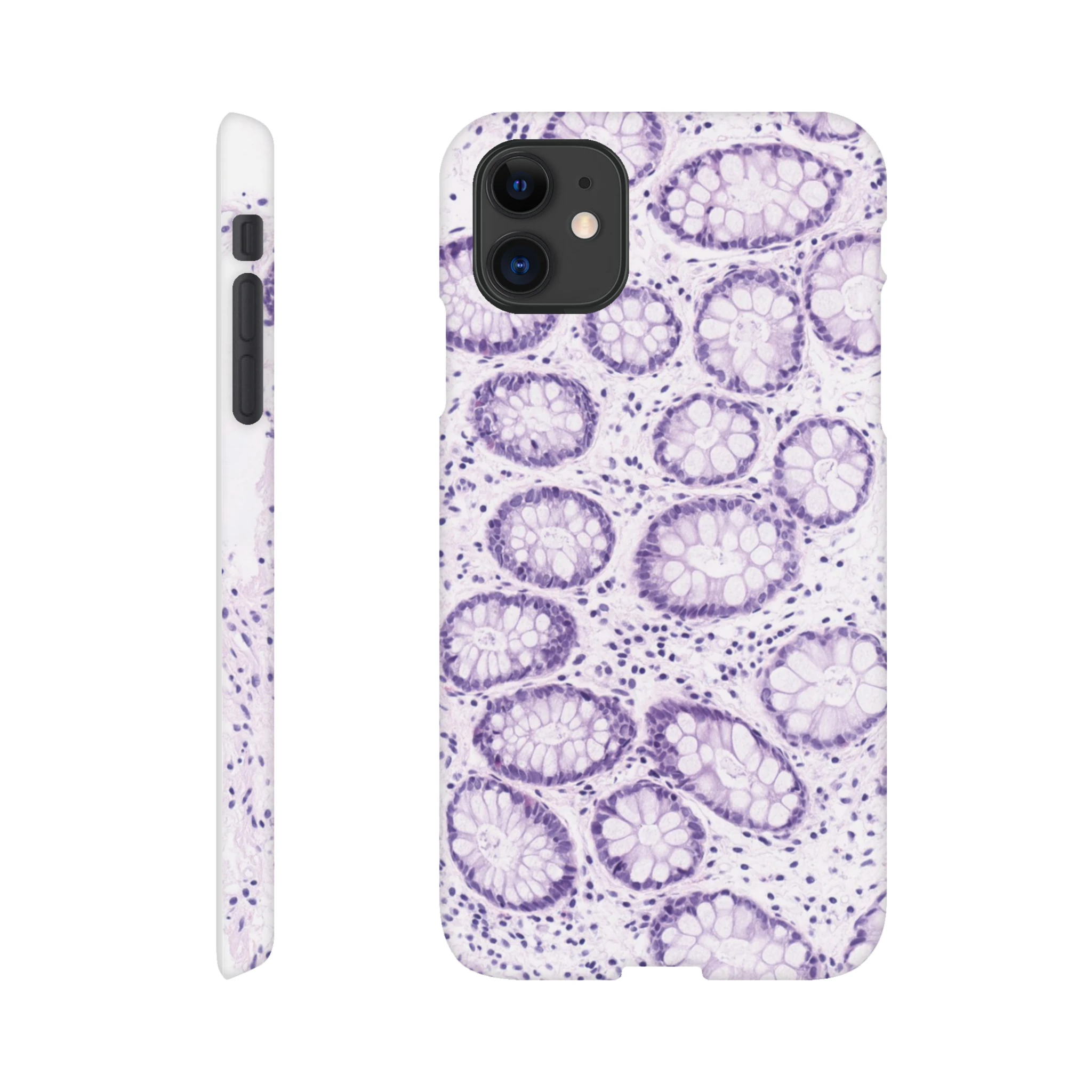 08b862c3-2921-4a85-acea-25d0e1e07ed3