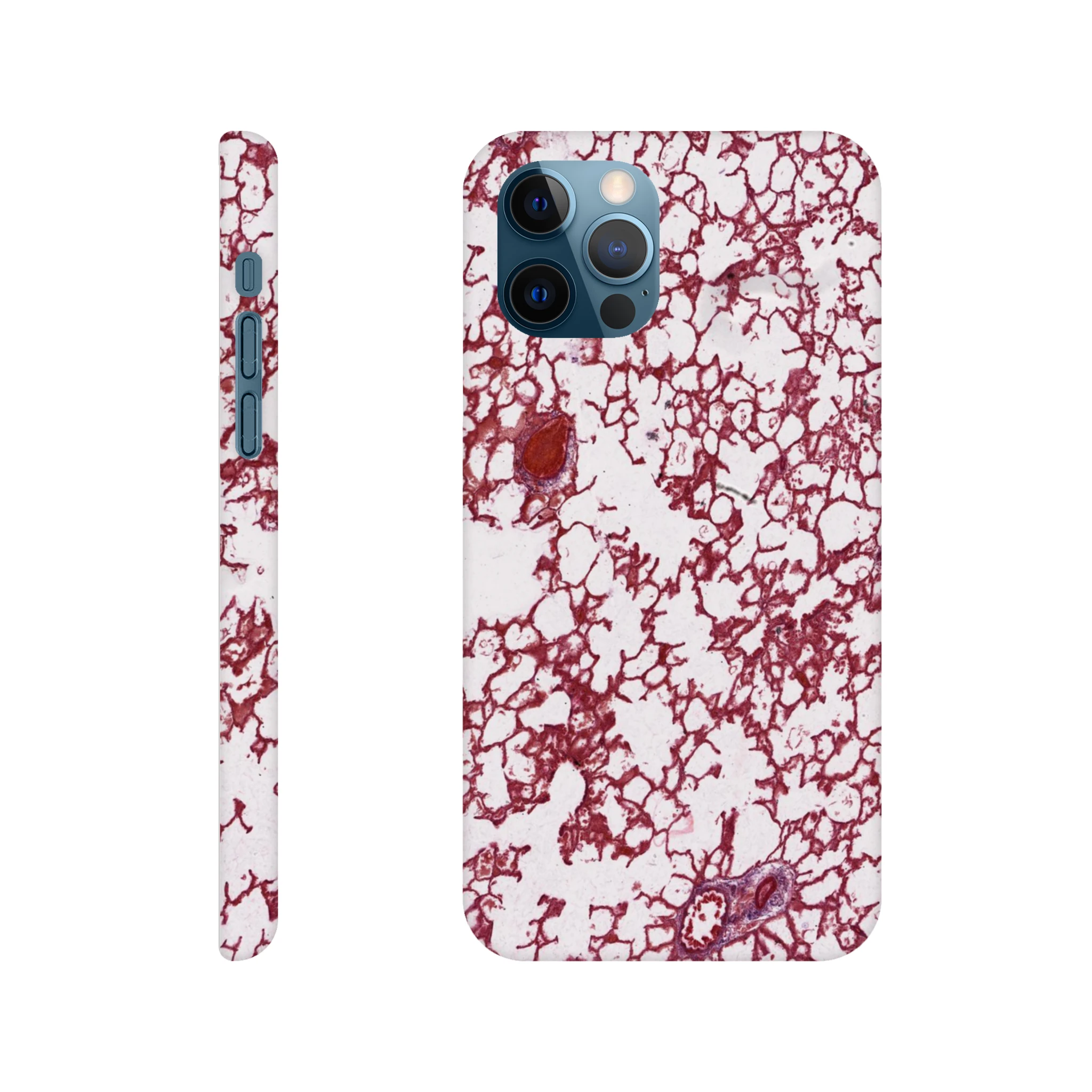 09aac5d4-6b19-4e61-b78d-a1311a07d639