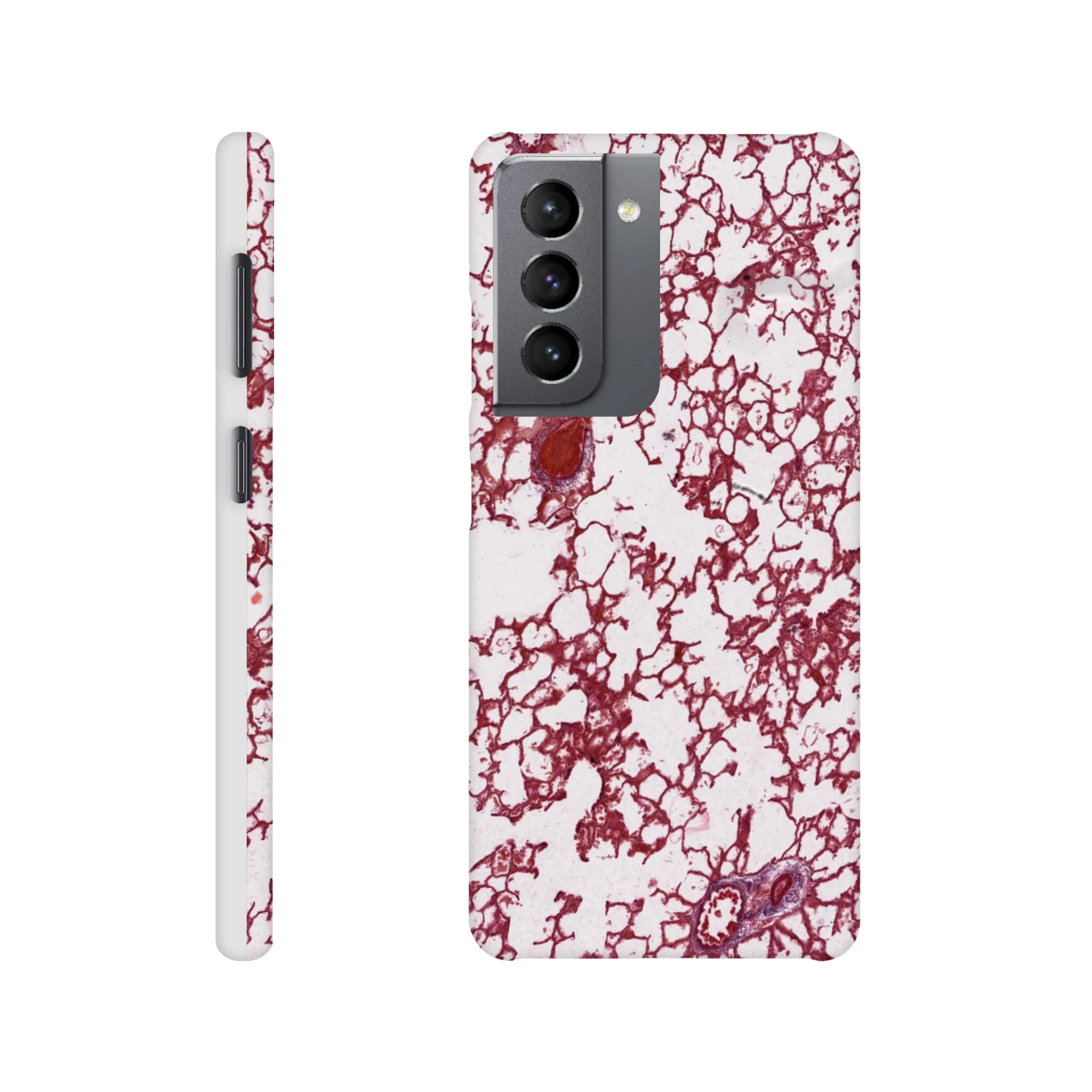 0b8ad2c5-edc2-415d-b566-24e46b5dd891