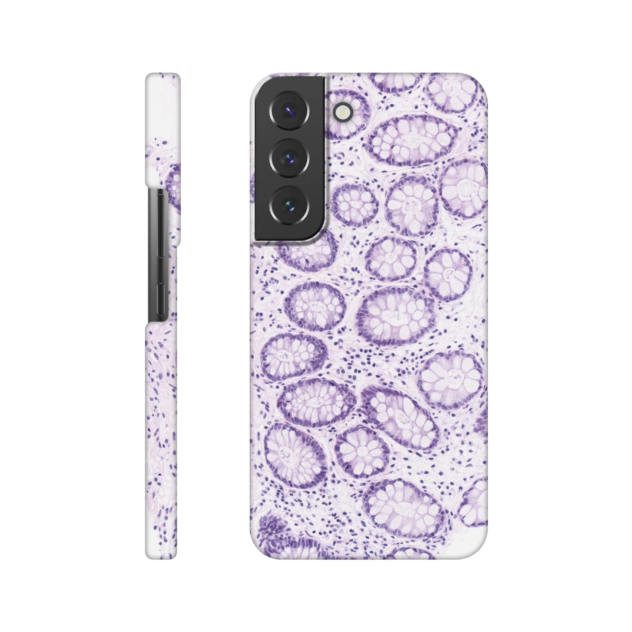 0bd614b7-bd8d-448f-8164-058eab38358d