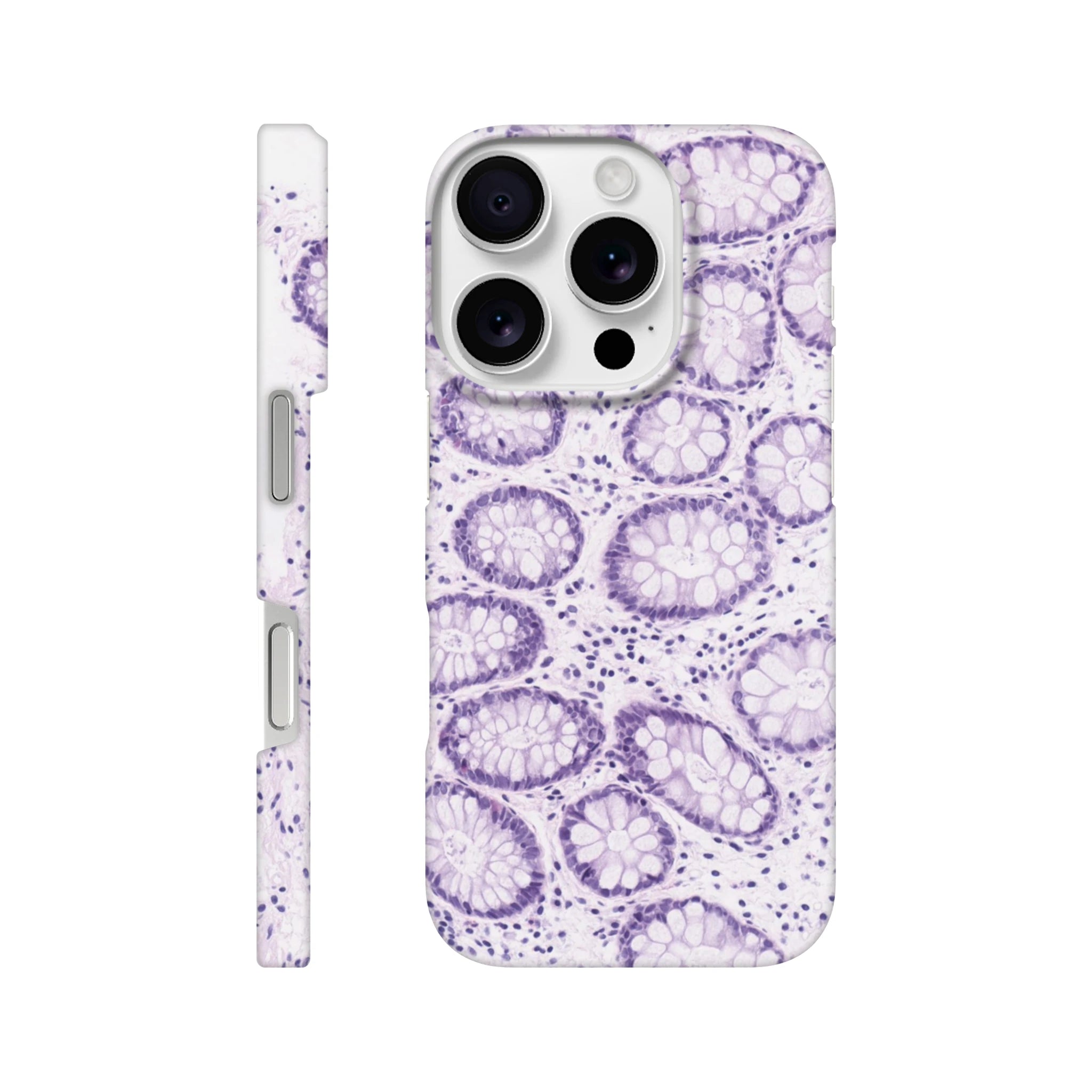 0efc3474-a86c-4fcb-b6be-5af49c56be53