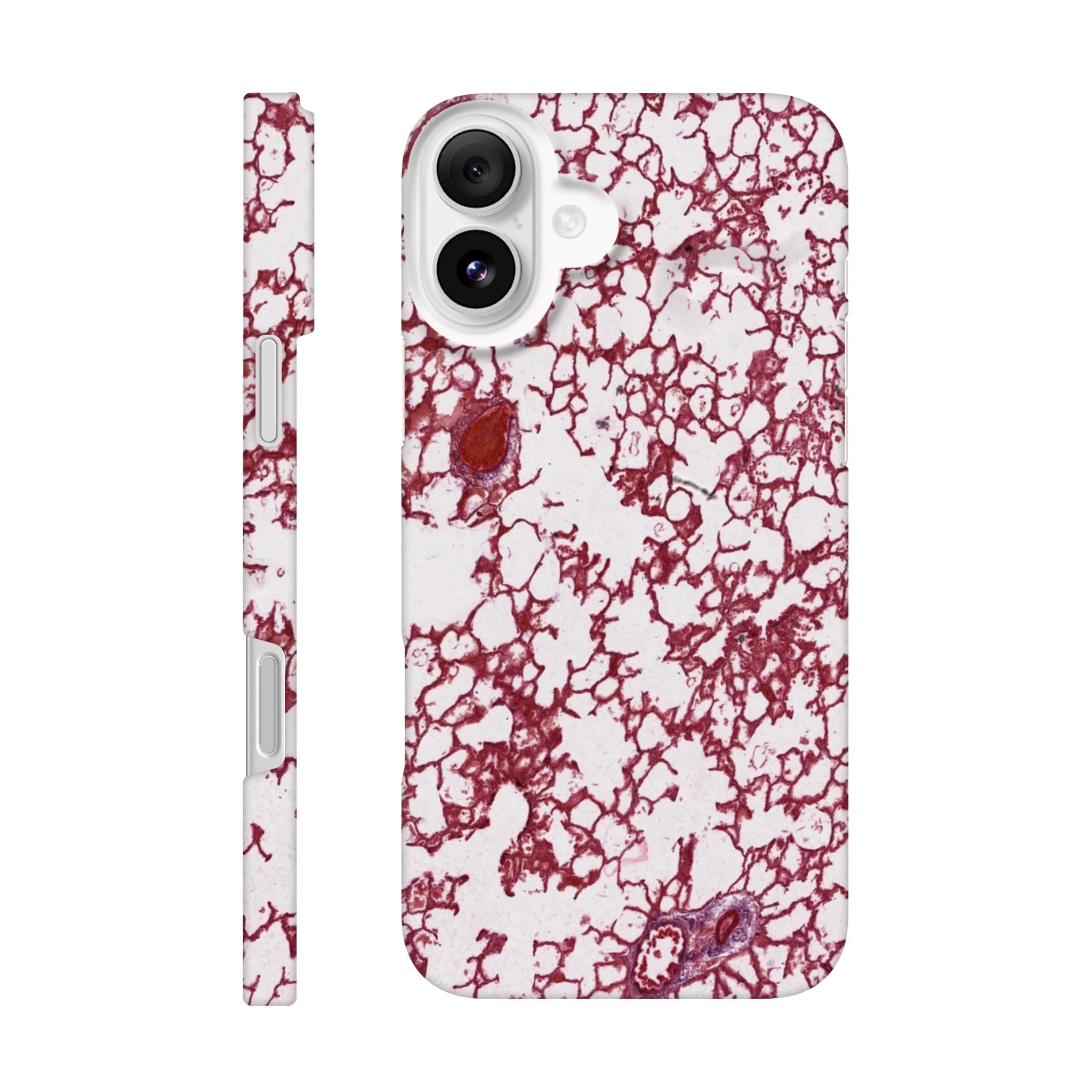 1014583f-6f03-488d-b3b0-9c73e7a05f55