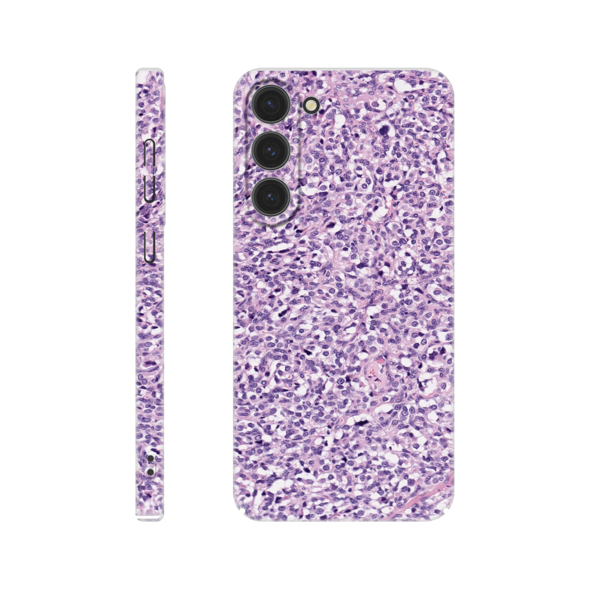 111ba78c-c2db-4a78-8cef-293ec66617d1