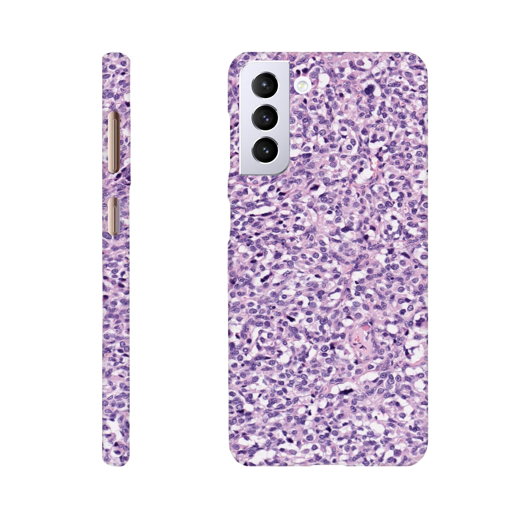 13d7a111-d1ea-491d-9ee9-f36445c31d72