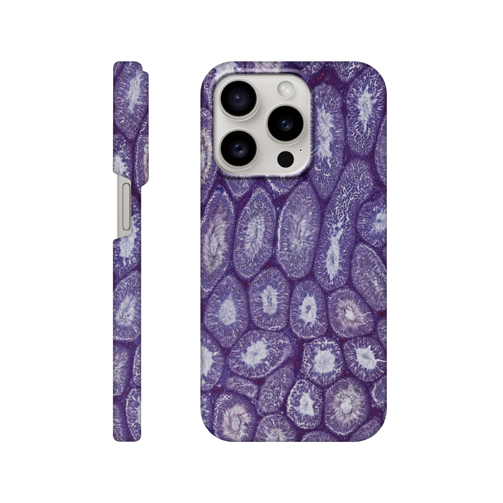 1493e1d2-6012-4d5a-a92e-cce5ebb2a1d5