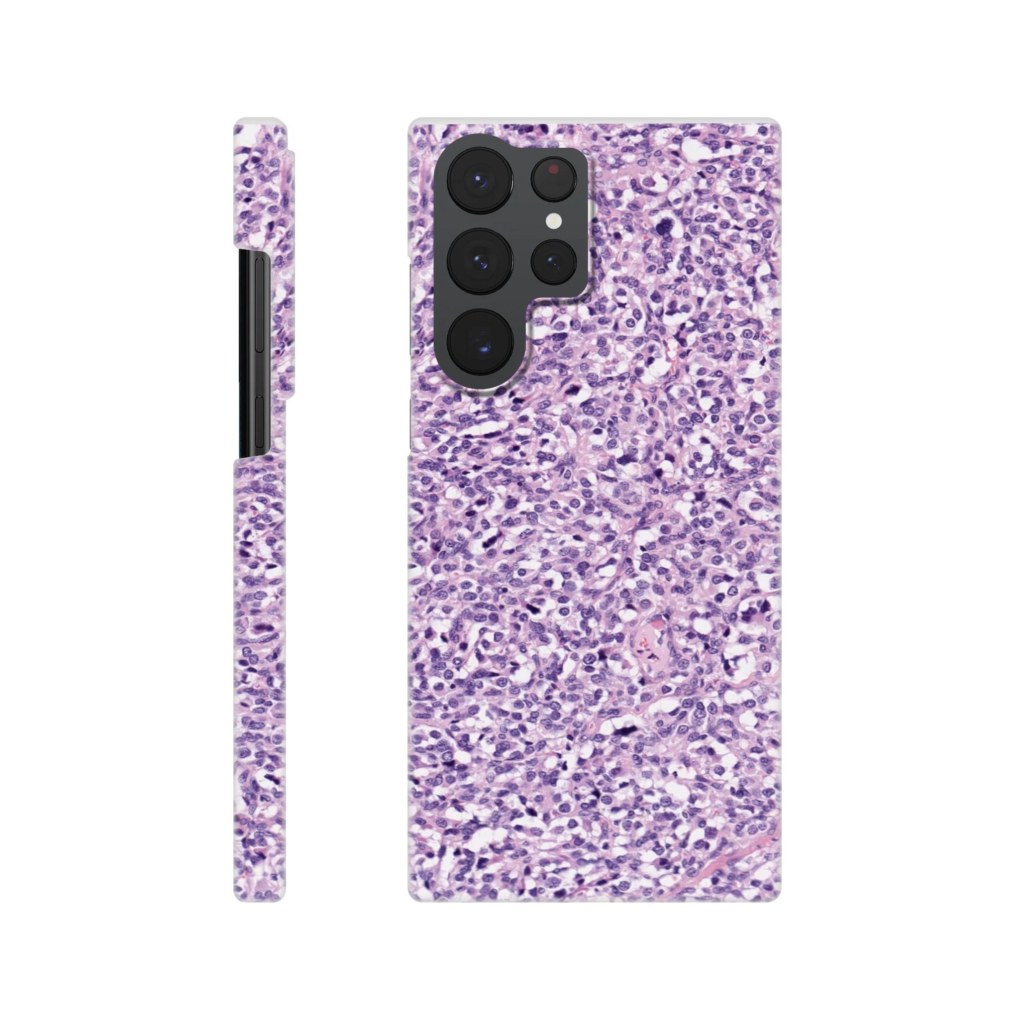 14fd8e31-7ea3-48b5-b5ec-d4612bb5a122