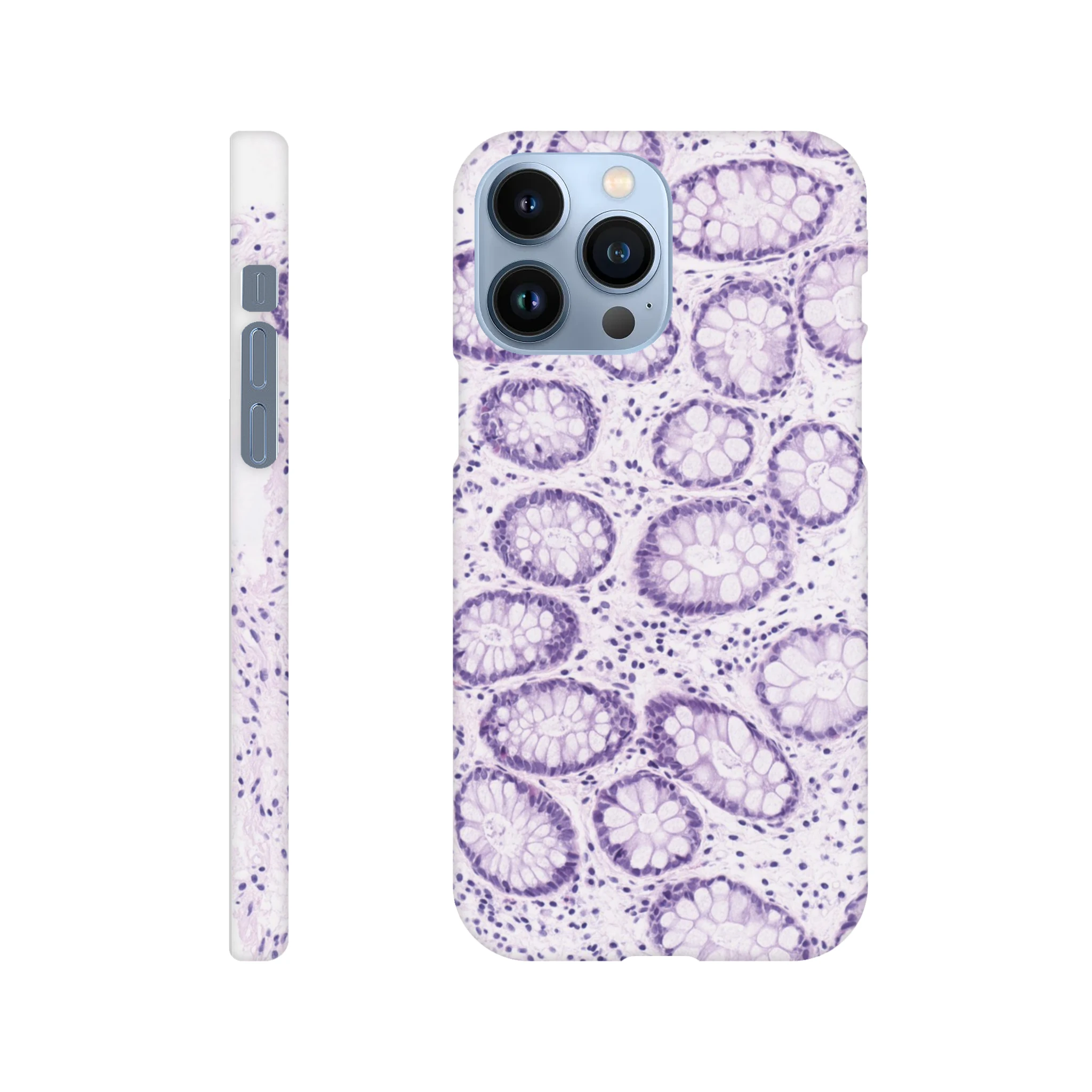 17a4194f-5a97-4b84-b2f8-8c87442e6bda