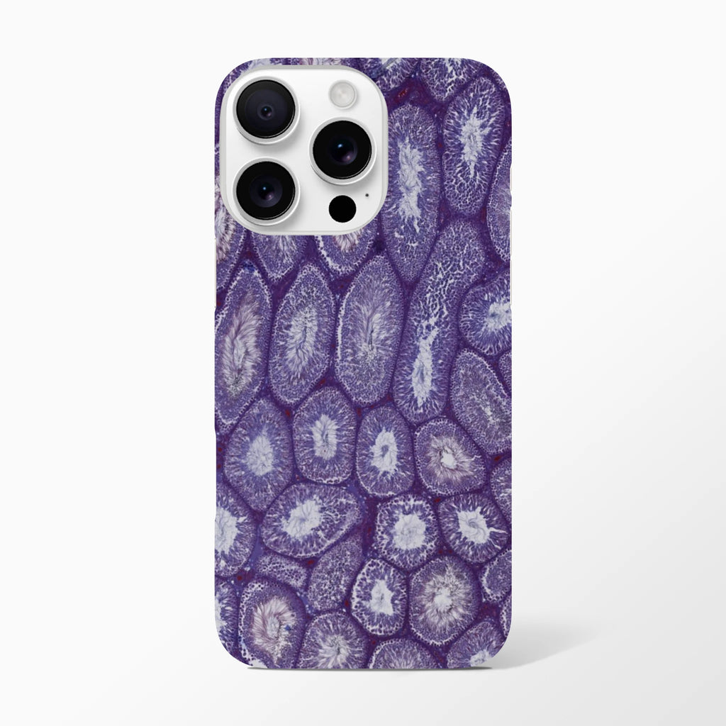 17b7285a-dce9-4bda-aedc-48dcd87ec8e6