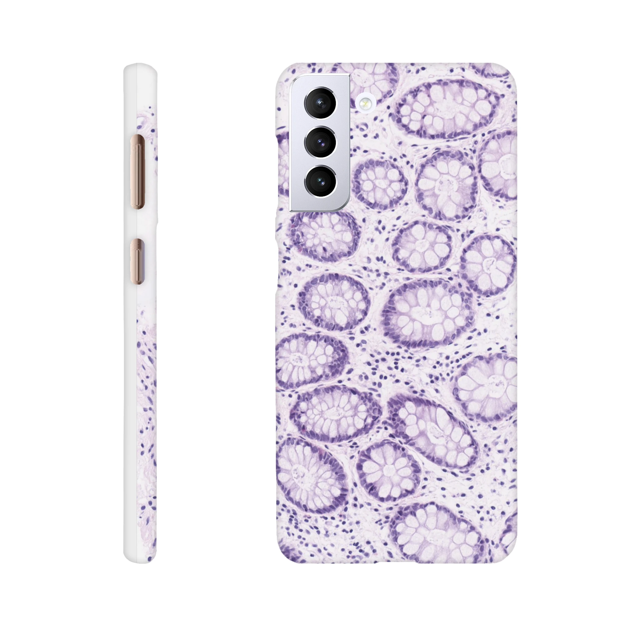 18c986d5-575d-4c0e-8db5-9eb34bc64c81