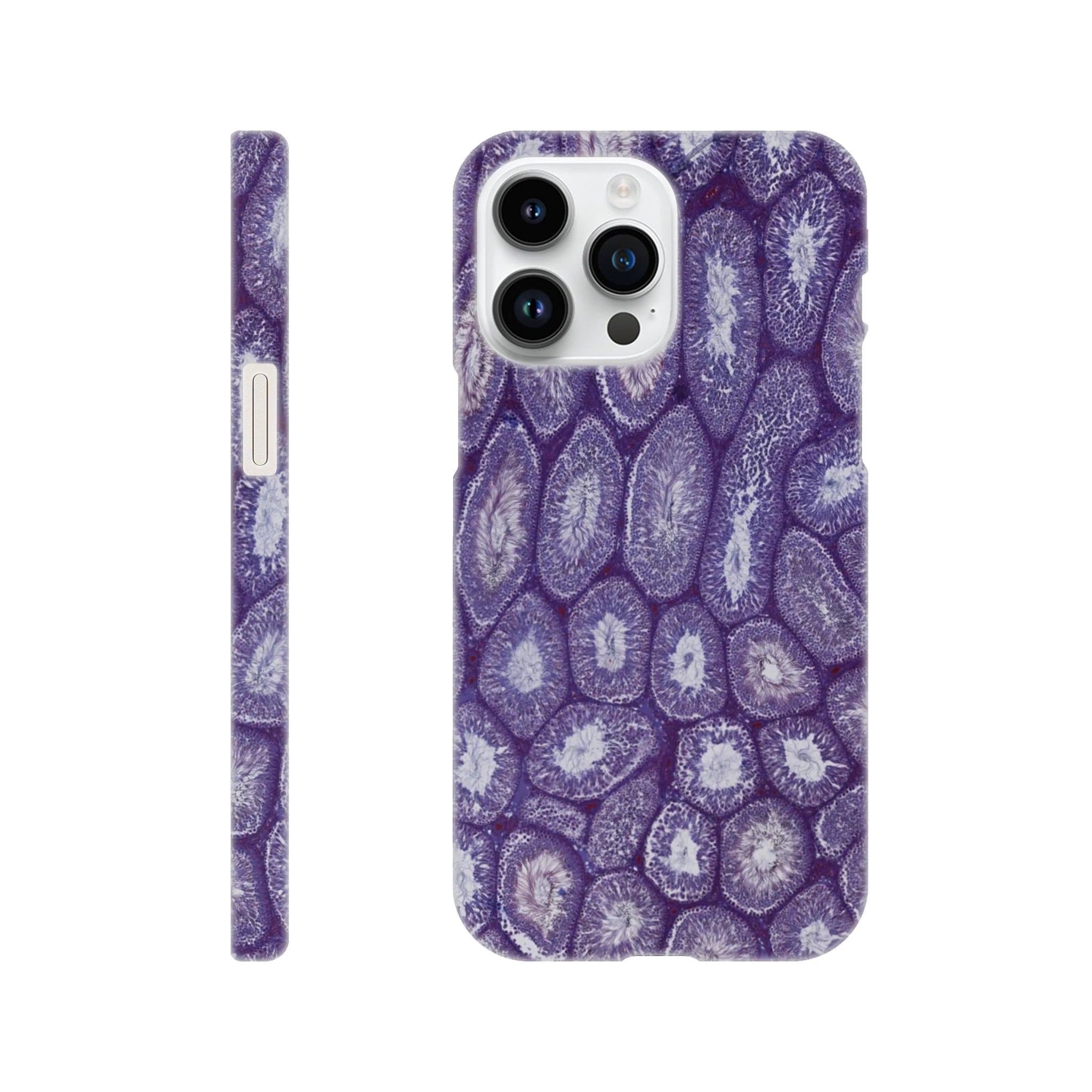 1a0c21ff-450e-45e3-b4fb-2f4321616321