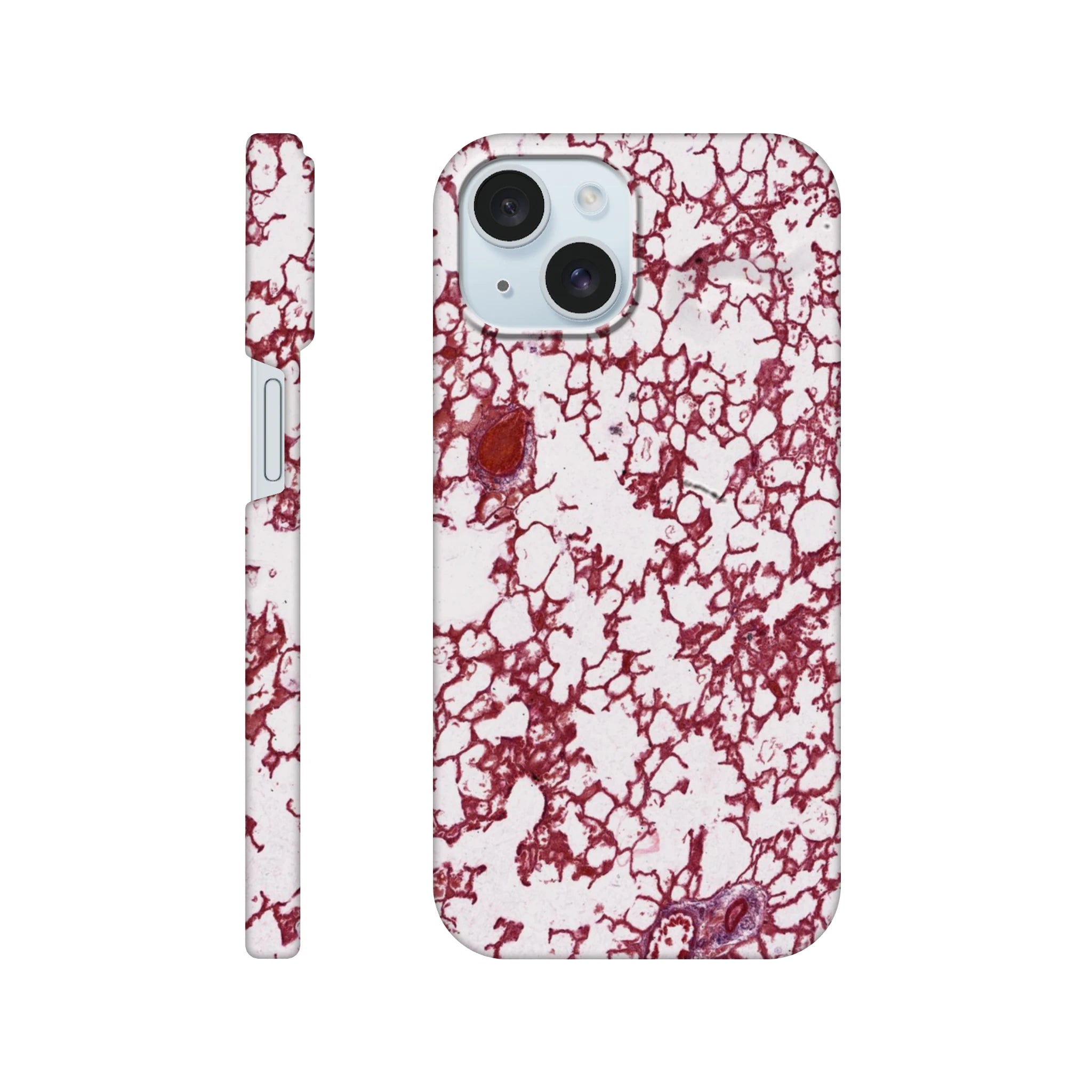 1c46f05e-2aff-4ef9-8784-7dda8e2fdf41