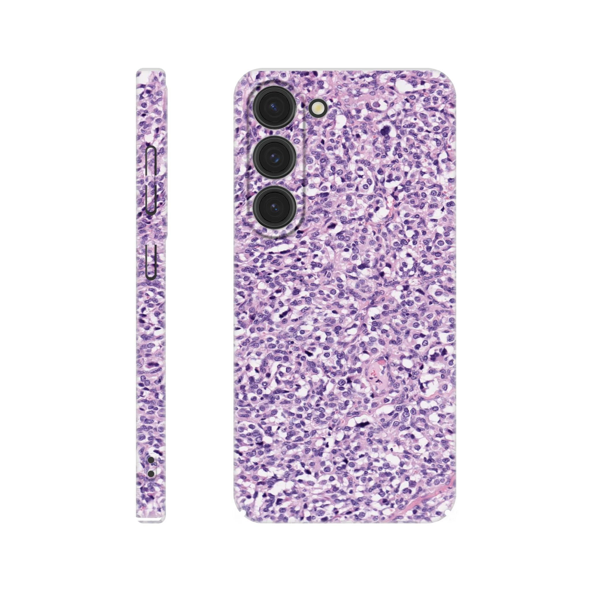 207e4f51-1111-4df7-a563-eda0007367a5