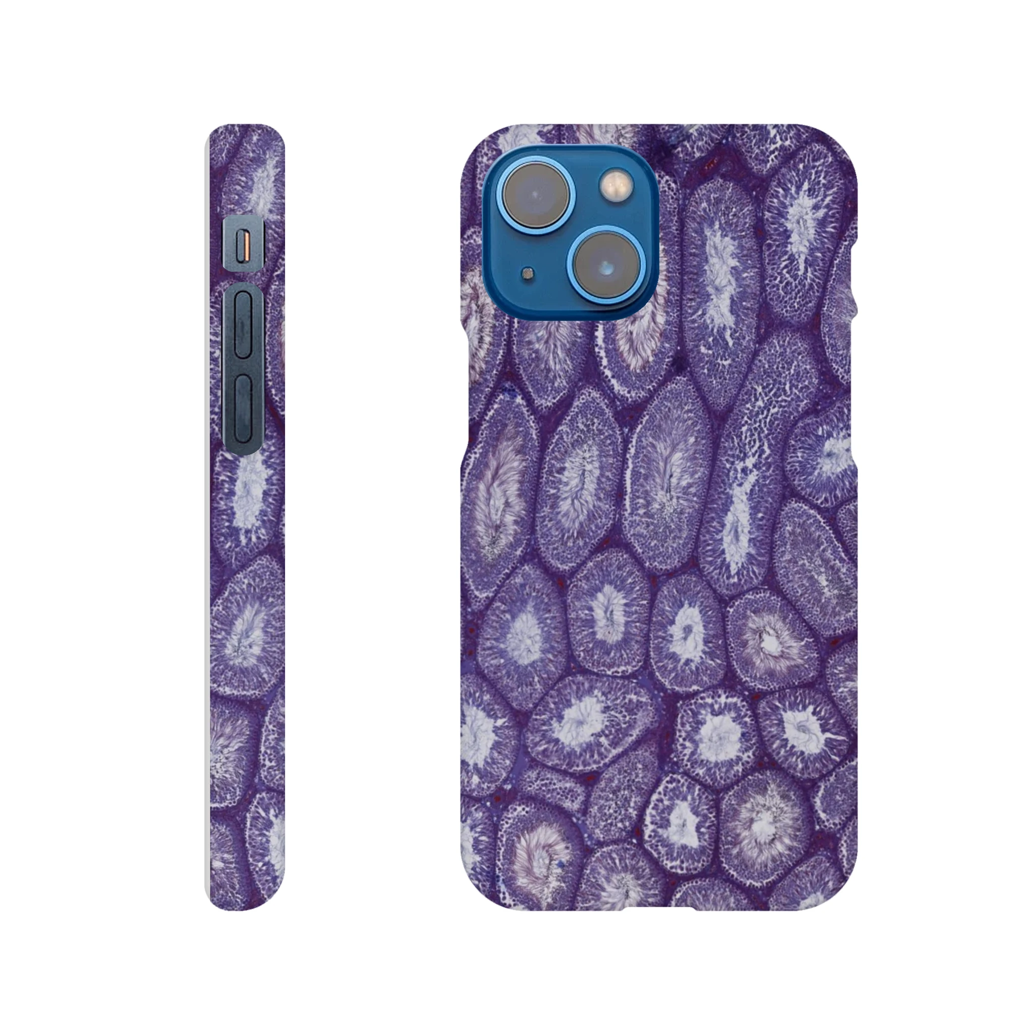 26d265aa-40c7-4547-96df-7a0468b21753