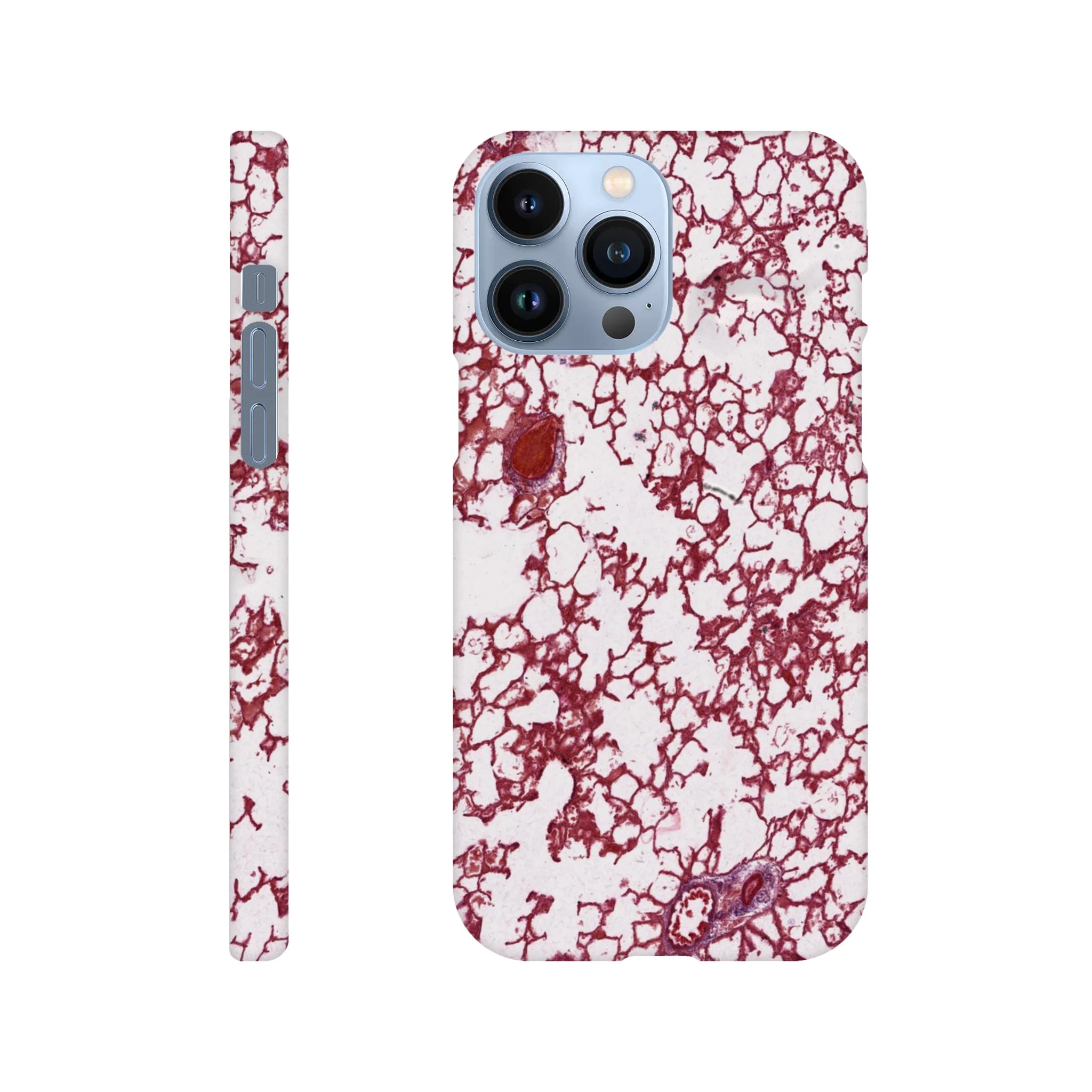 2901dab0-9548-4aa0-8f87-75492b5336b4