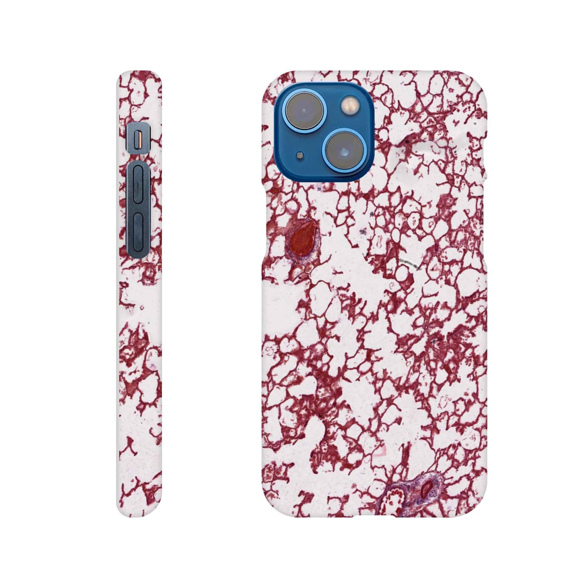 299a840f-643e-4d22-b6ad-7c6add3efcda