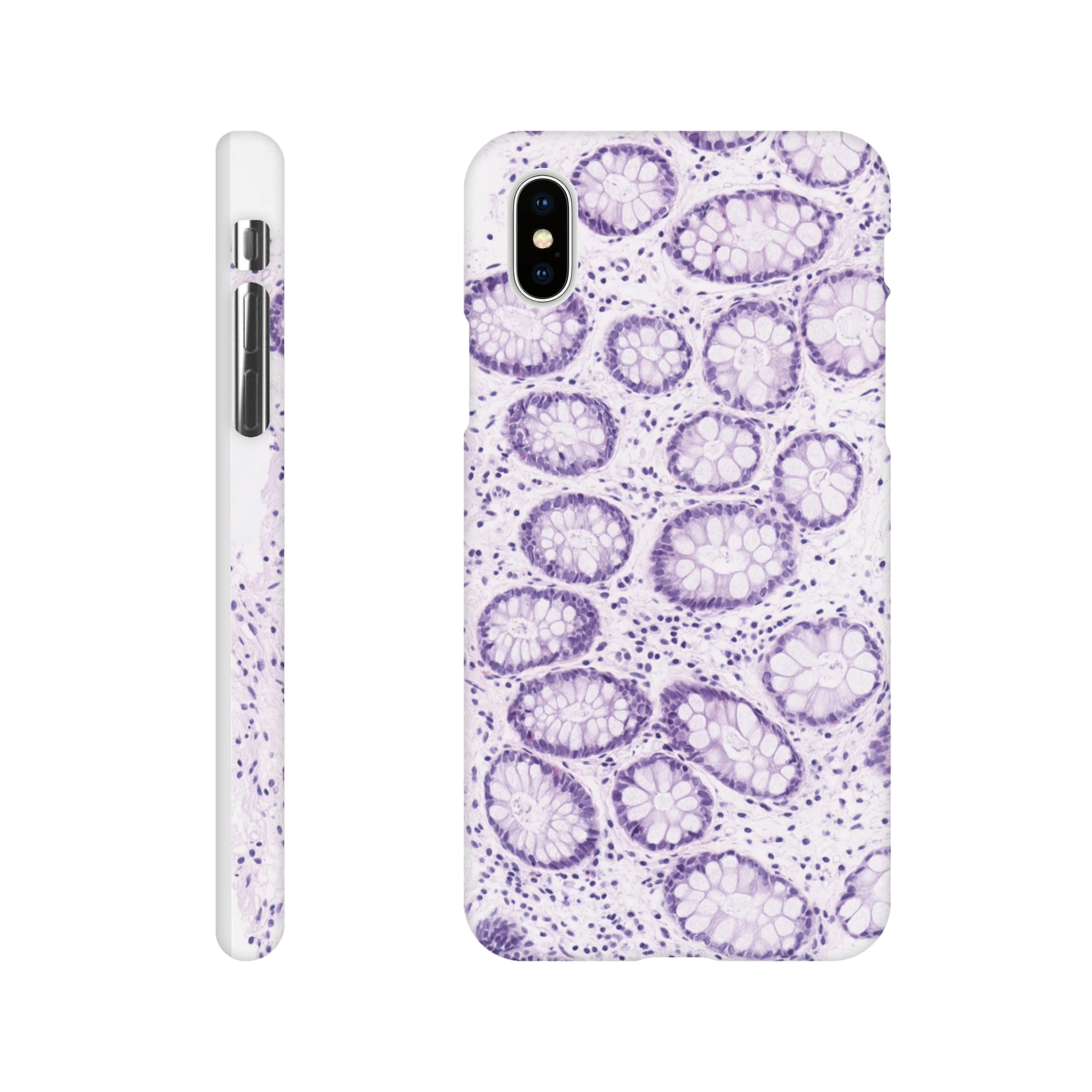 2a67c26e-2c81-4c8d-84dd-b10afe2816d0