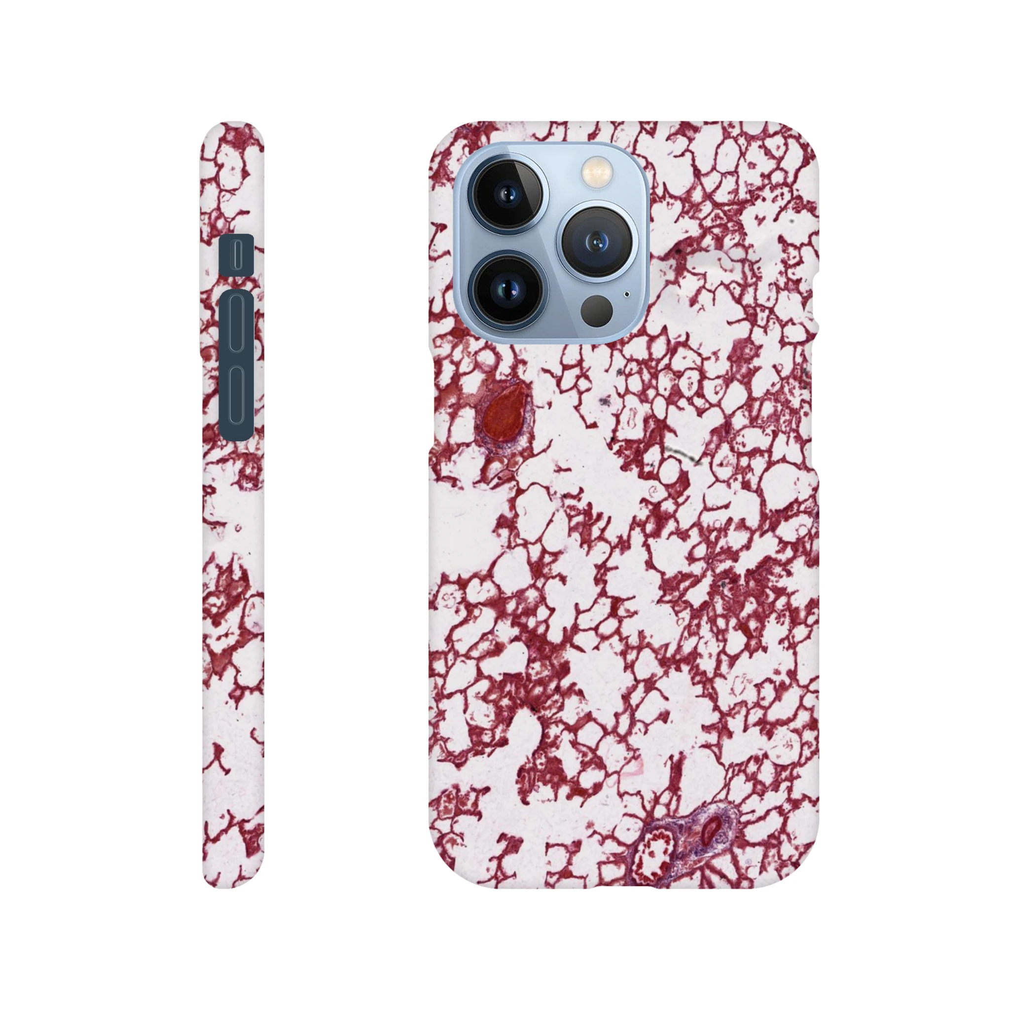 2b75ad42-2e7e-48da-af75-f0ef35e97110