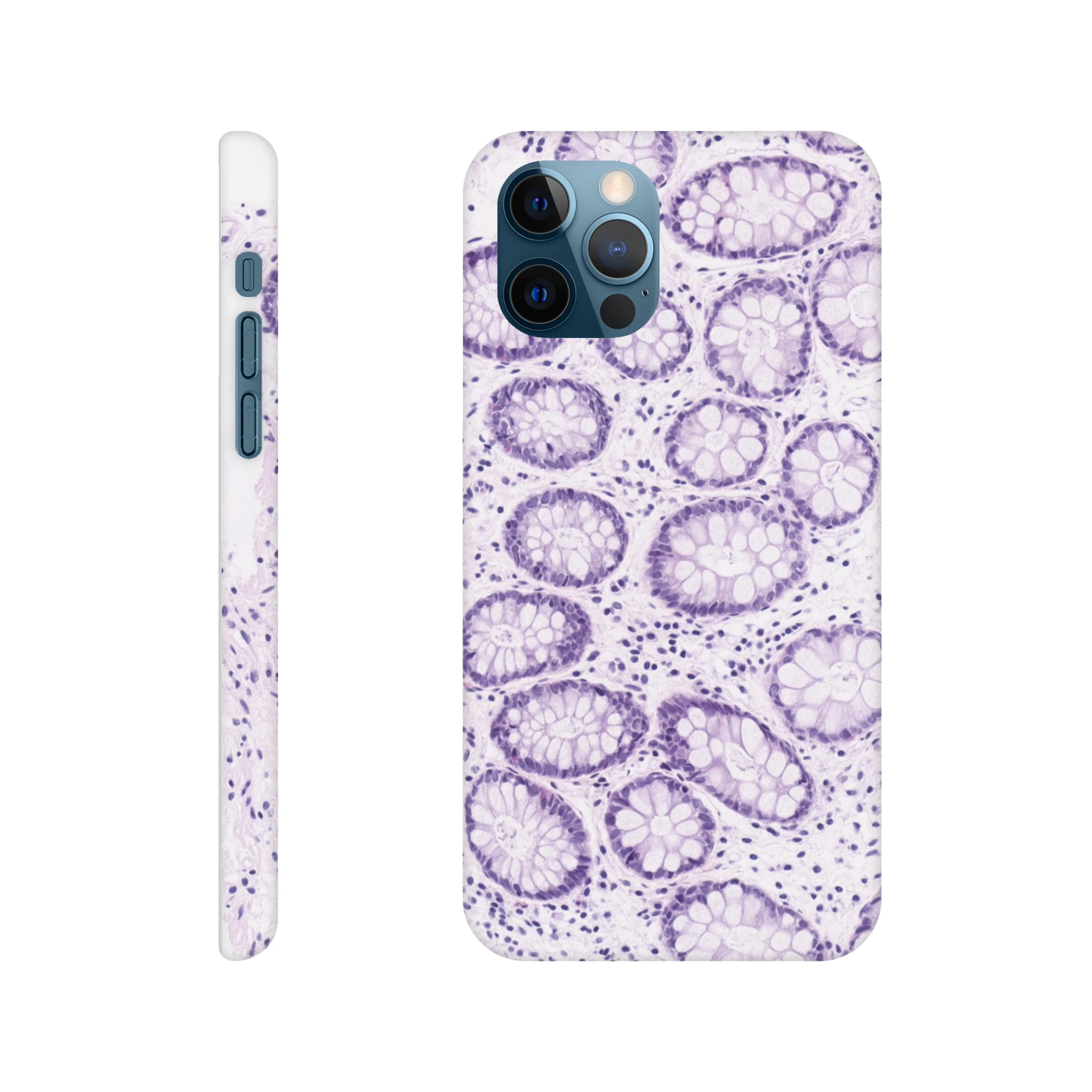 2cd1f6a7-be22-43c7-83de-a30aee2bd868