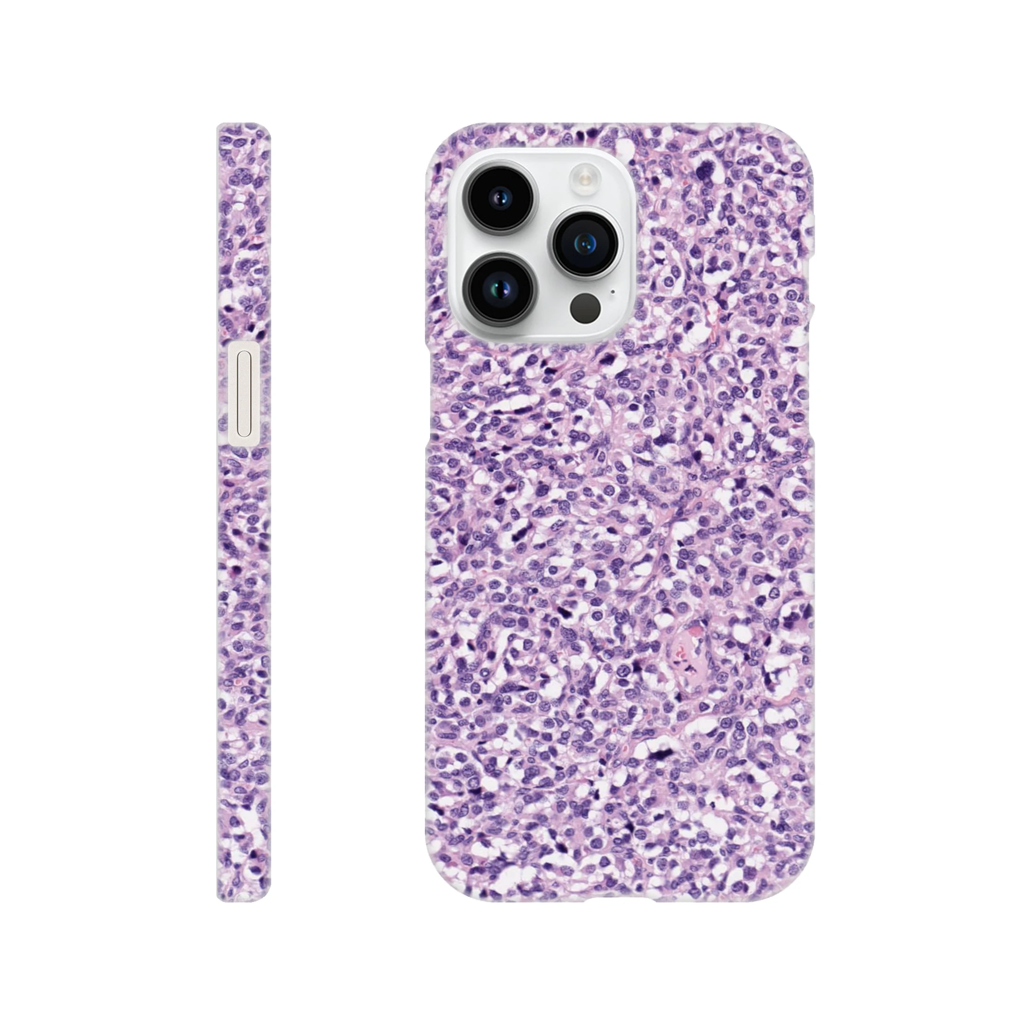 2d4411b3-f1a7-4f5c-977e-98697a5c4df1