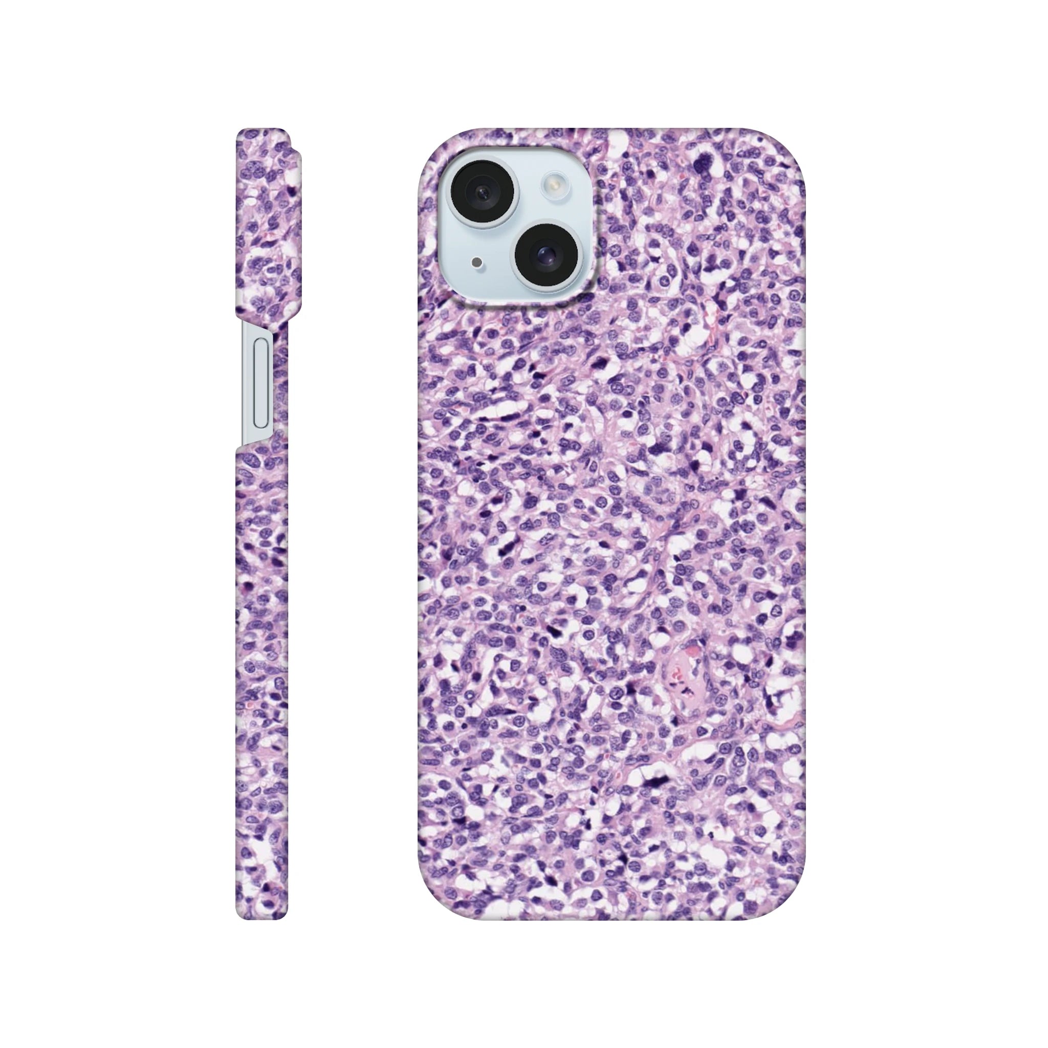 2e977951-46c0-4e14-9ee9-f18599b68fff