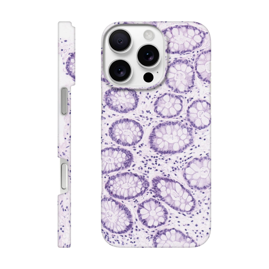 2f742cb9-aec2-4c49-aea7-770d4d52ec9b