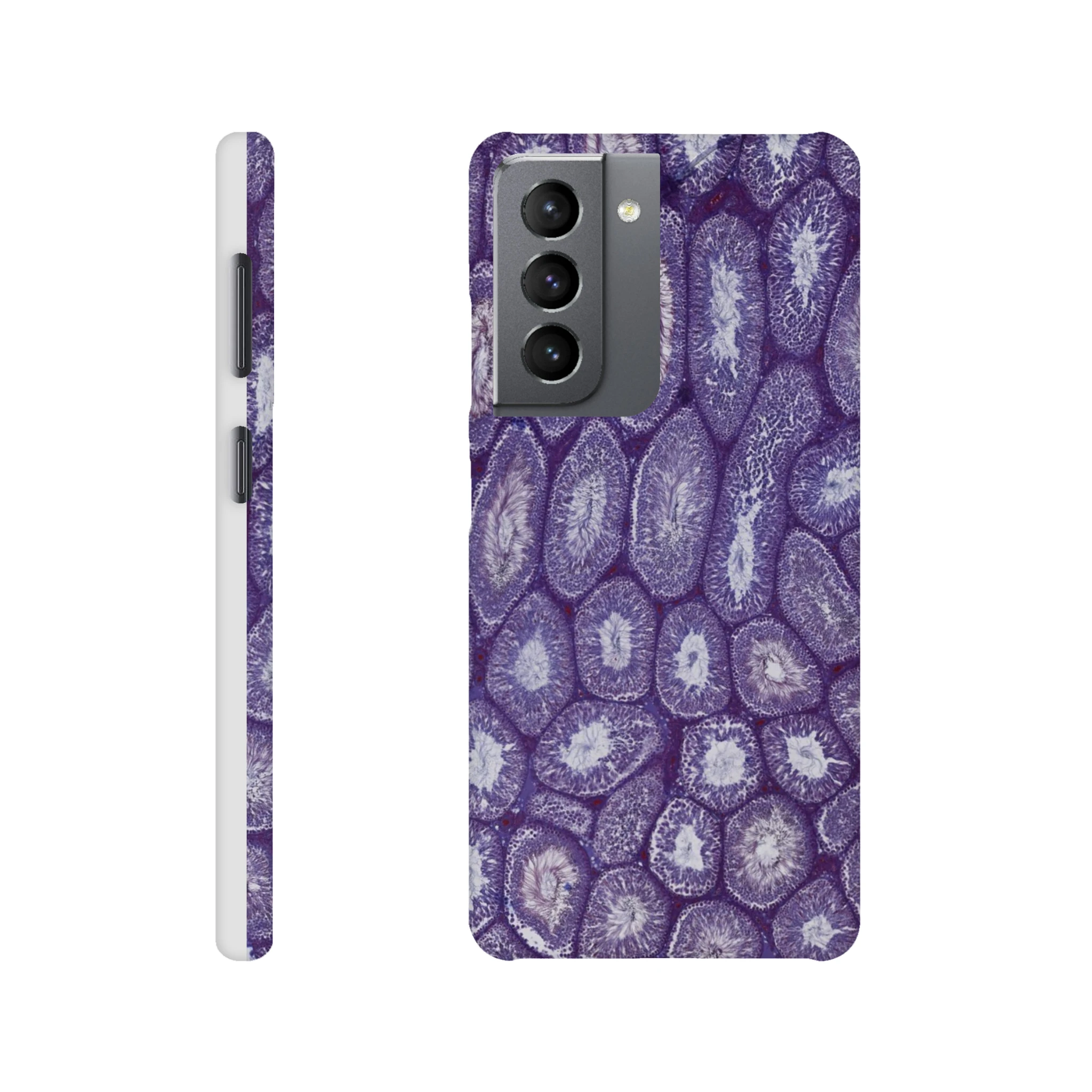 31946353-49dc-45dd-b302-d9ca19de23ac