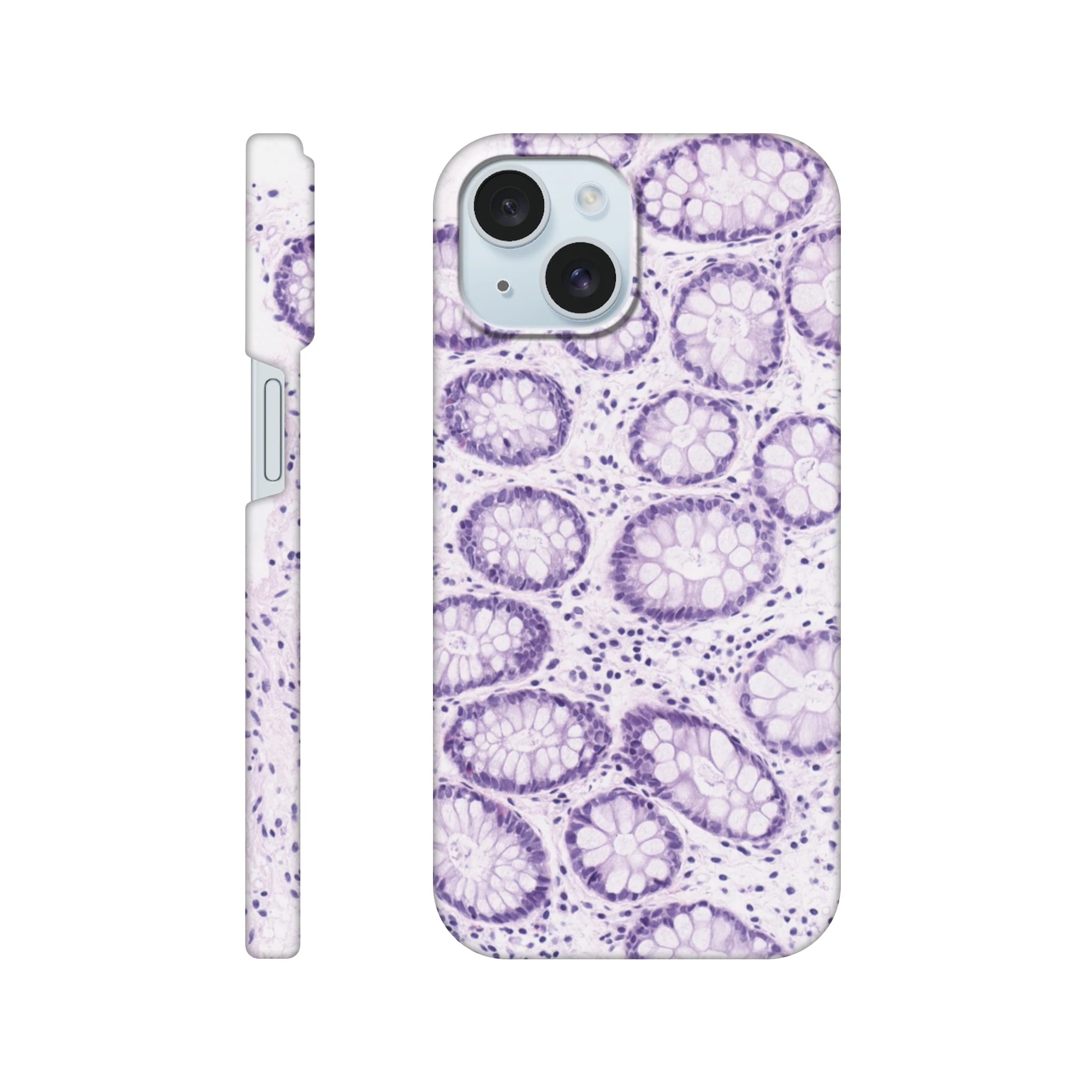 33bdb47f-8c80-4316-8fbd-a8187d76414e