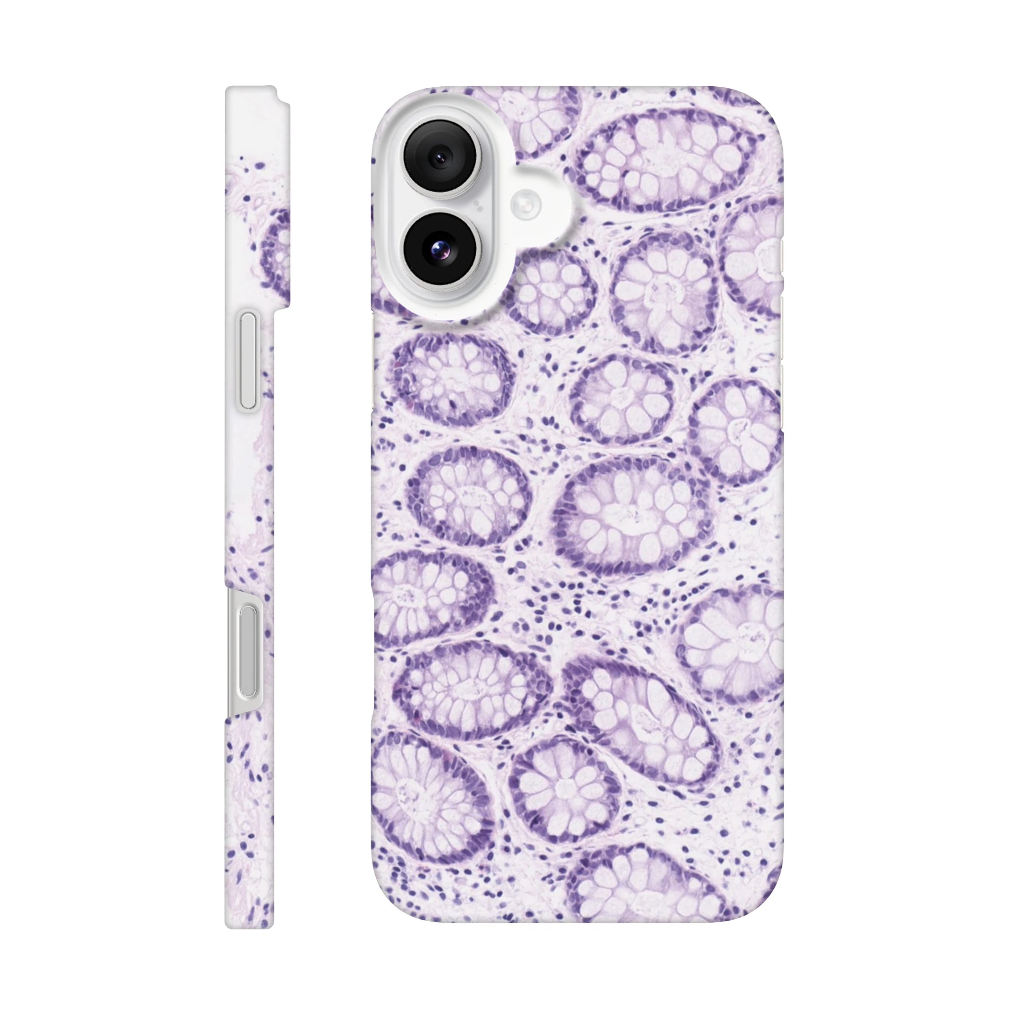 344ef078-cc1c-4bcf-82d0-bfd81fa83da5