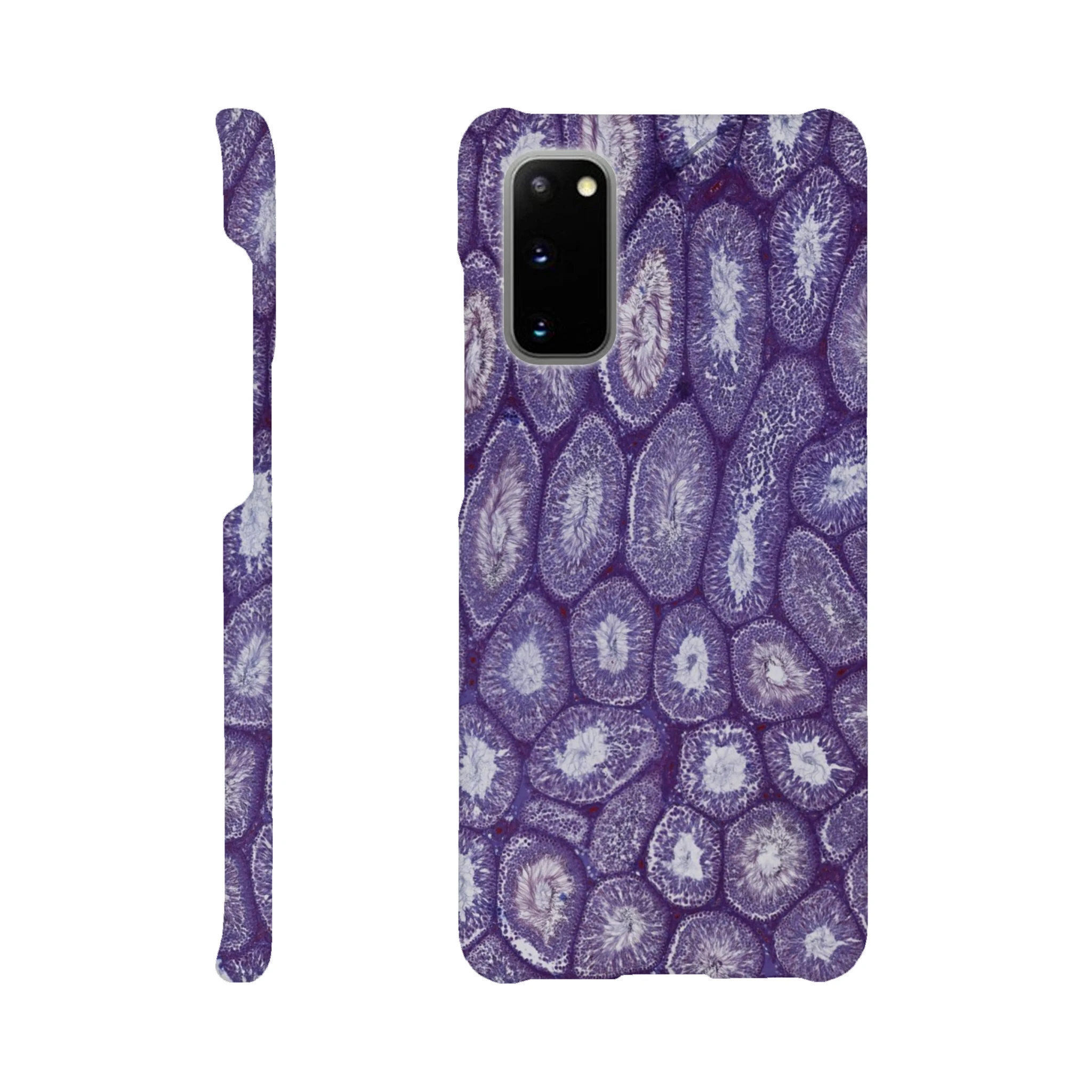 368f7a03-8c2f-479a-a191-aedefa6c6430