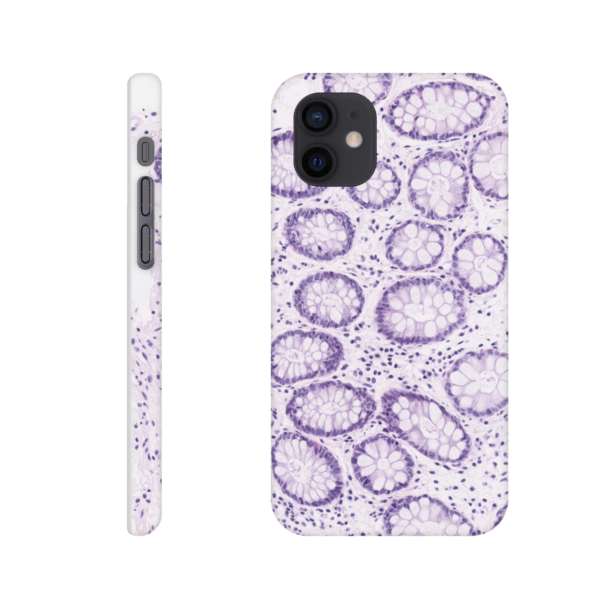 3bdc96b7-aa03-44a1-b840-1aca47690a09