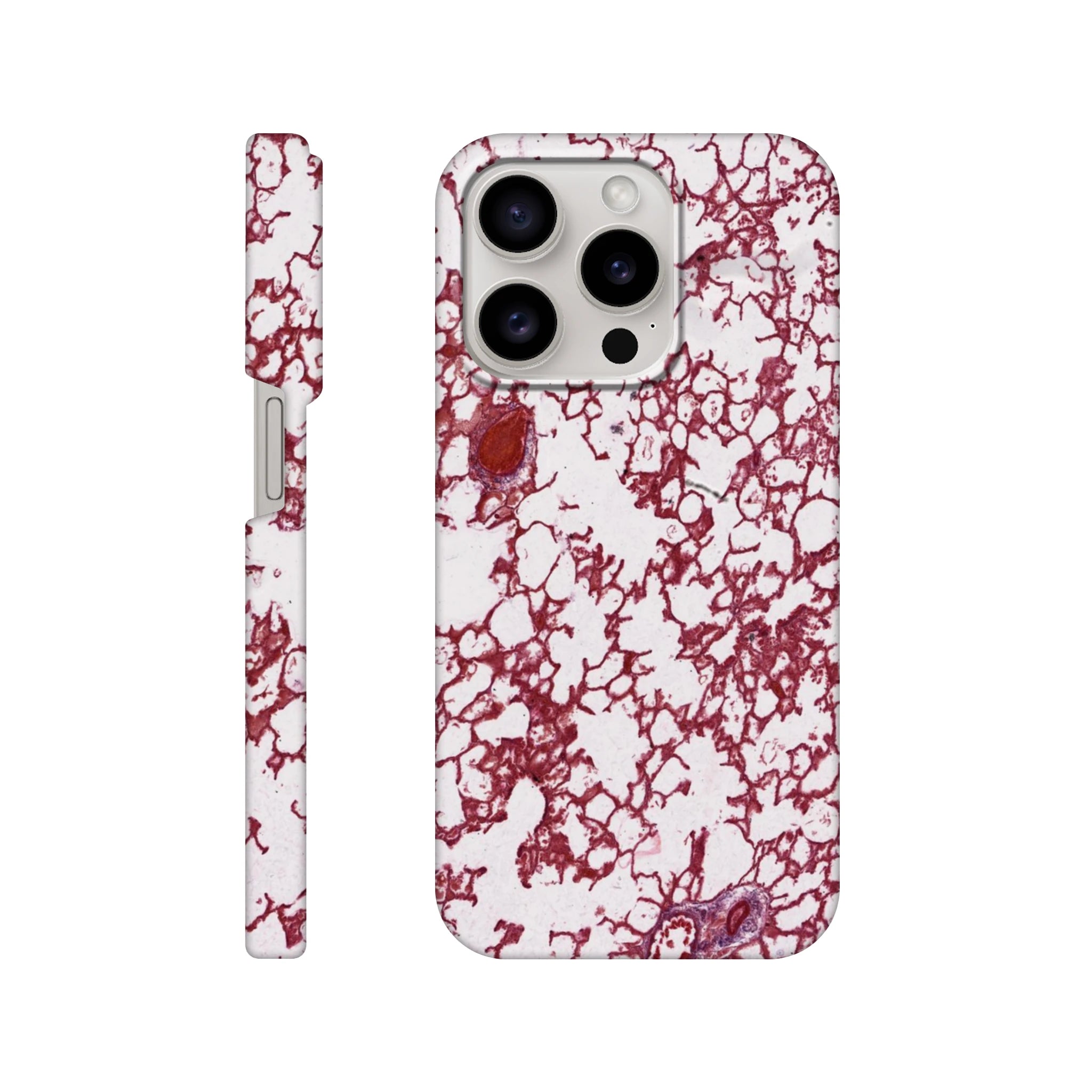 3c0a974e-363b-406b-b6c0-dc6d916939dd