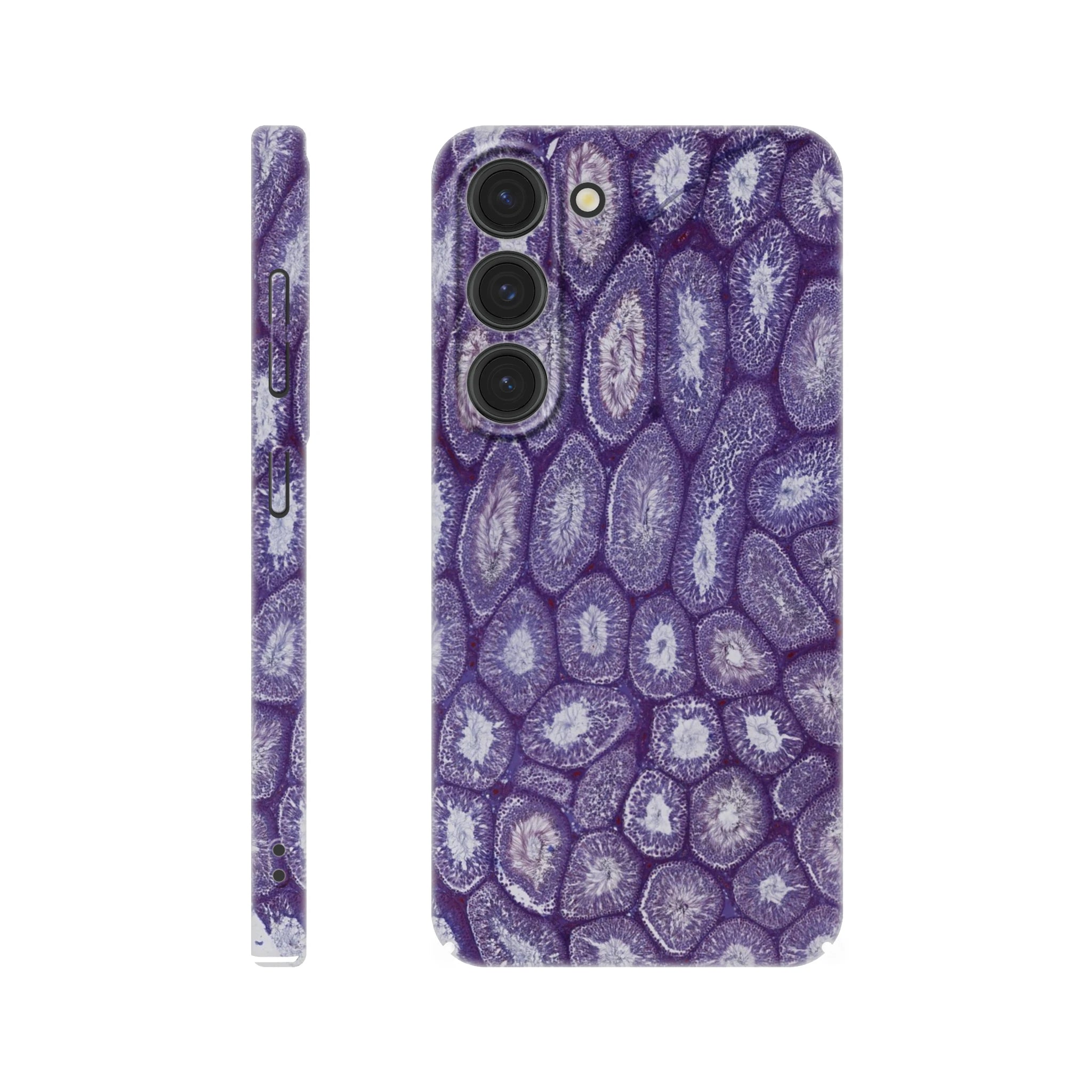 3e69d365-bd68-402b-b907-673a7c814b24