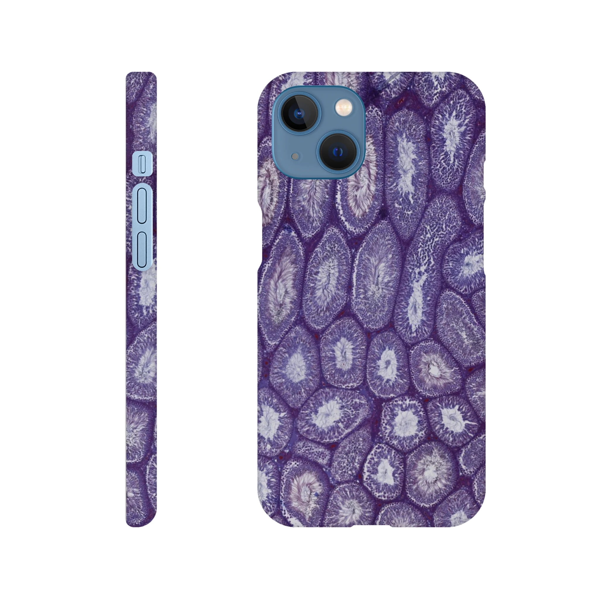 419cd9ae-efb9-4260-83b7-69416cb35518