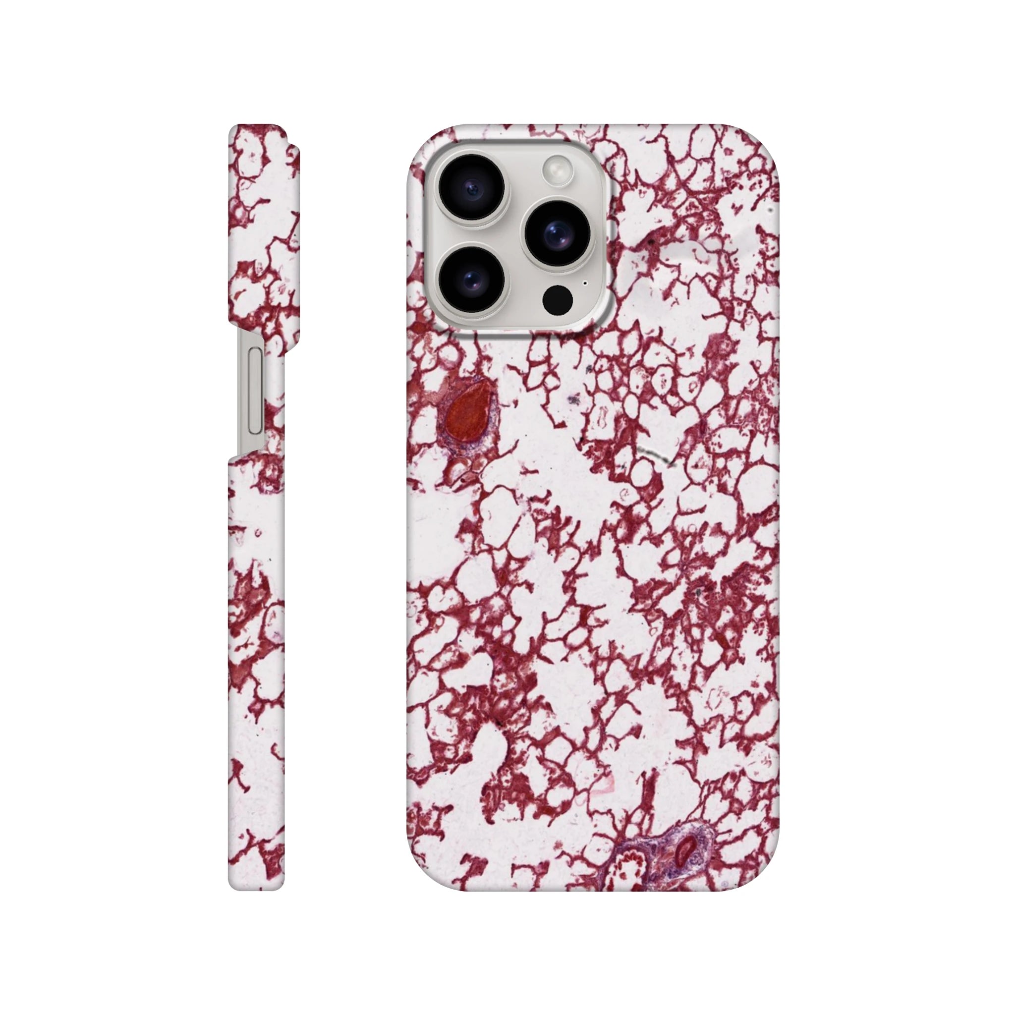 42f512a8-90cf-4521-805c-092bf391ddaa