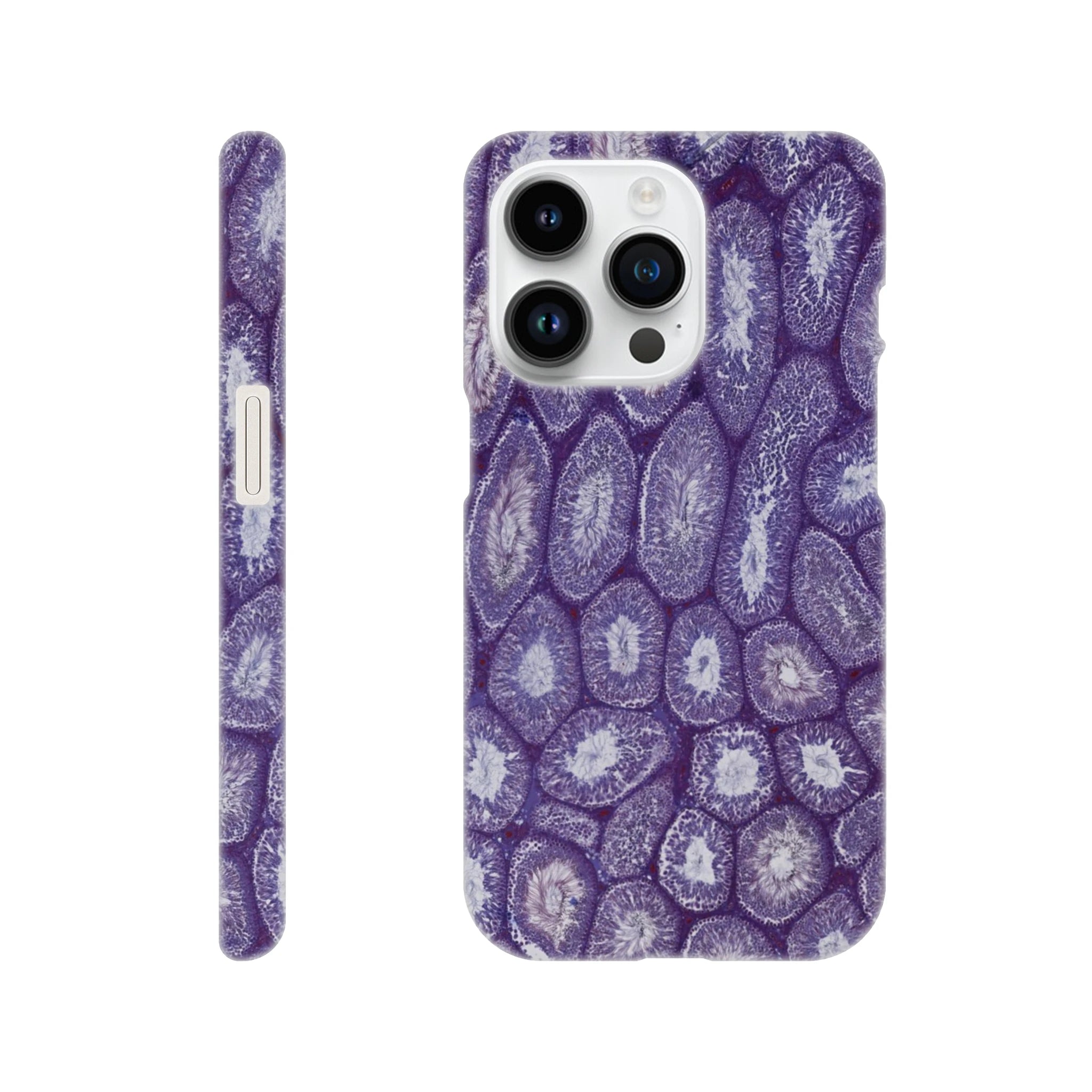 43620e01-975e-4ed4-bde0-12c48394e99a