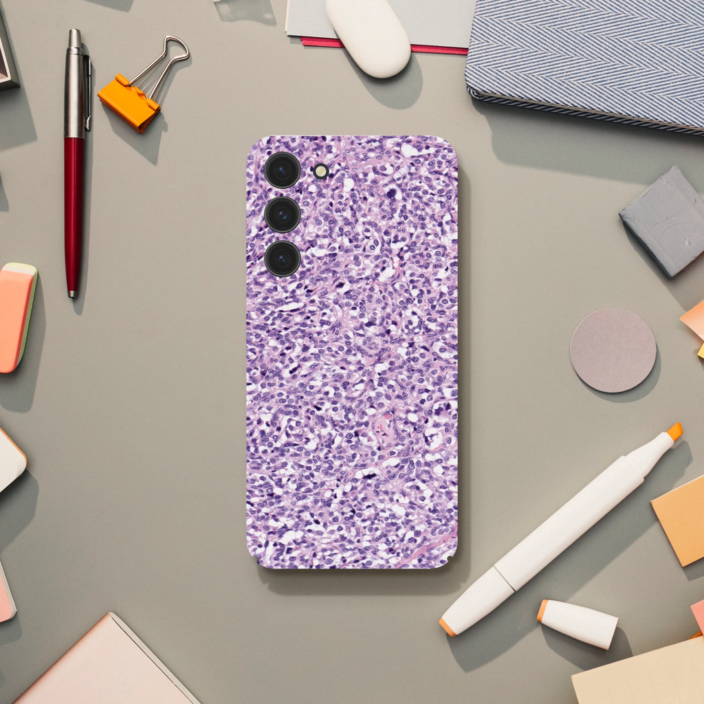 439d291c-8dea-4942-b87a-3ccbcd4538bc