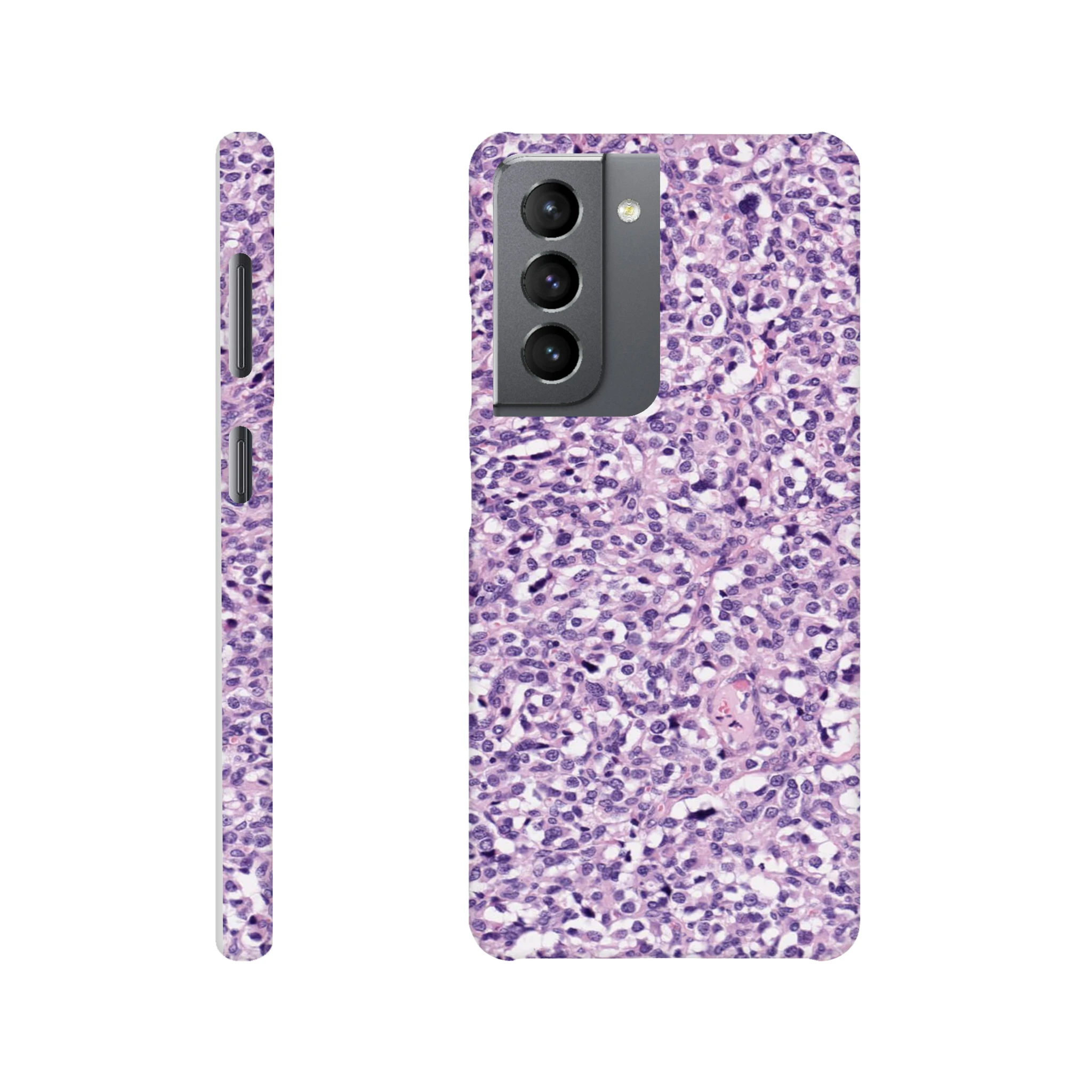 43c47c39-7e37-46b4-b034-725007233dbf