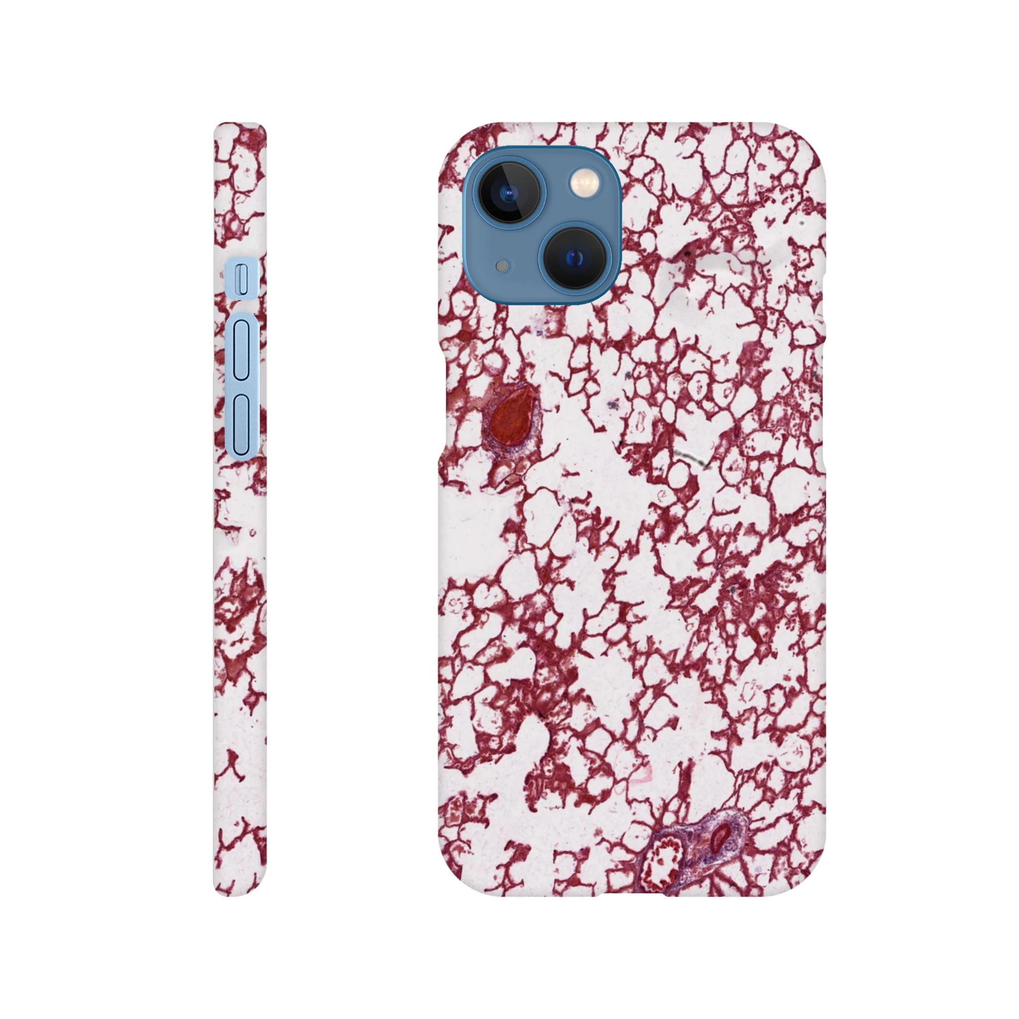 46b94849-b97d-464a-8633-5dcdd189483b