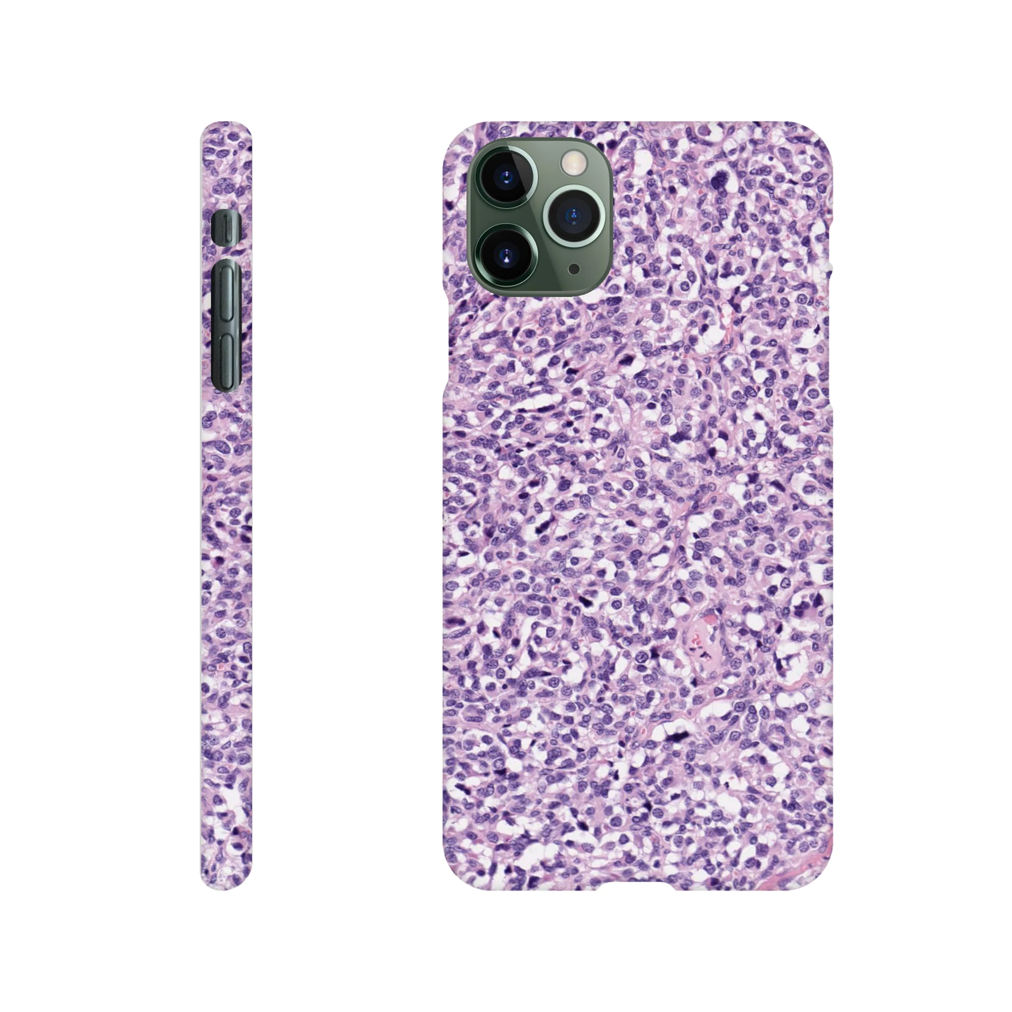 499e90fa-5cc5-40fd-9925-8418e7f61b6f