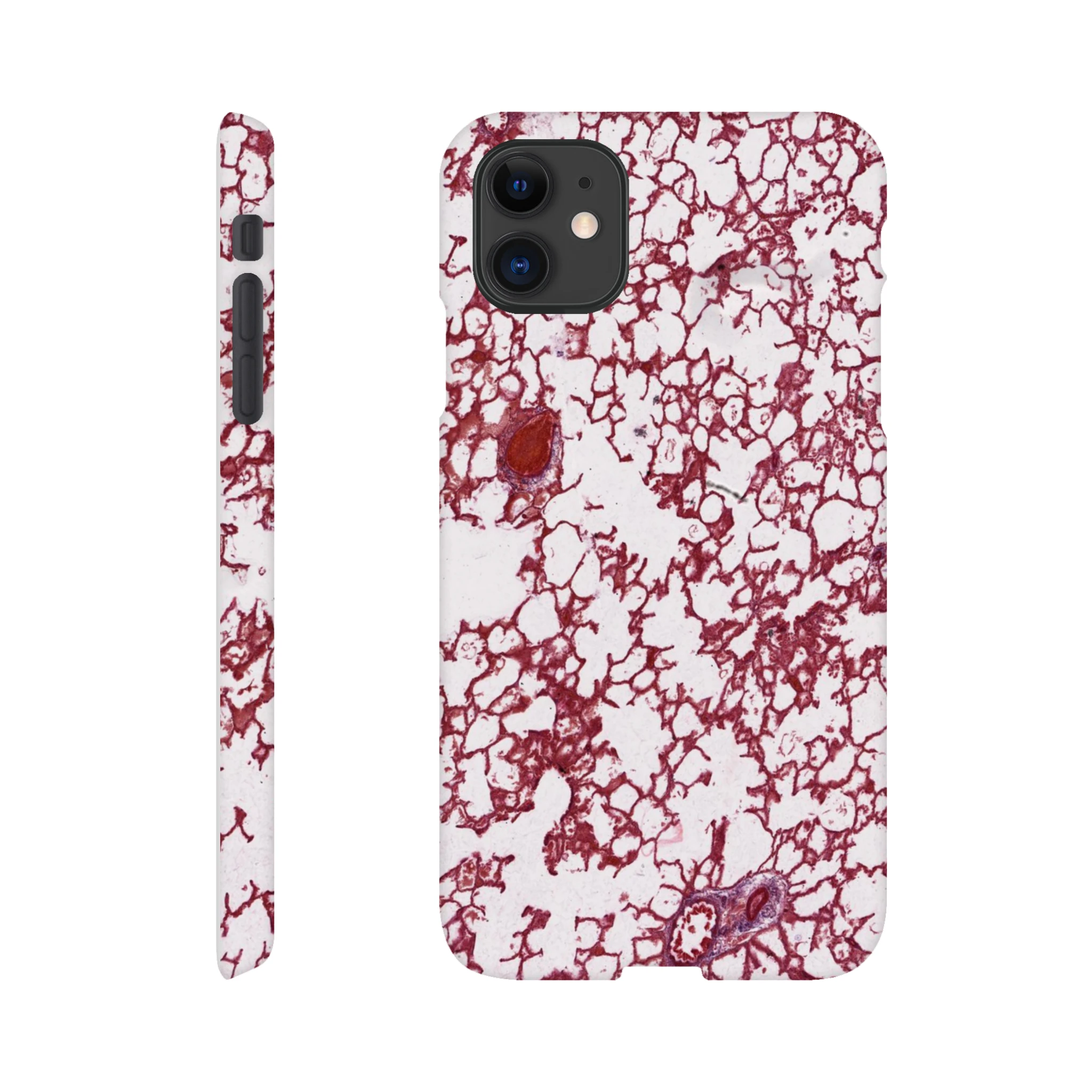 4a907e94-d437-4745-9325-3ce7ad0de862