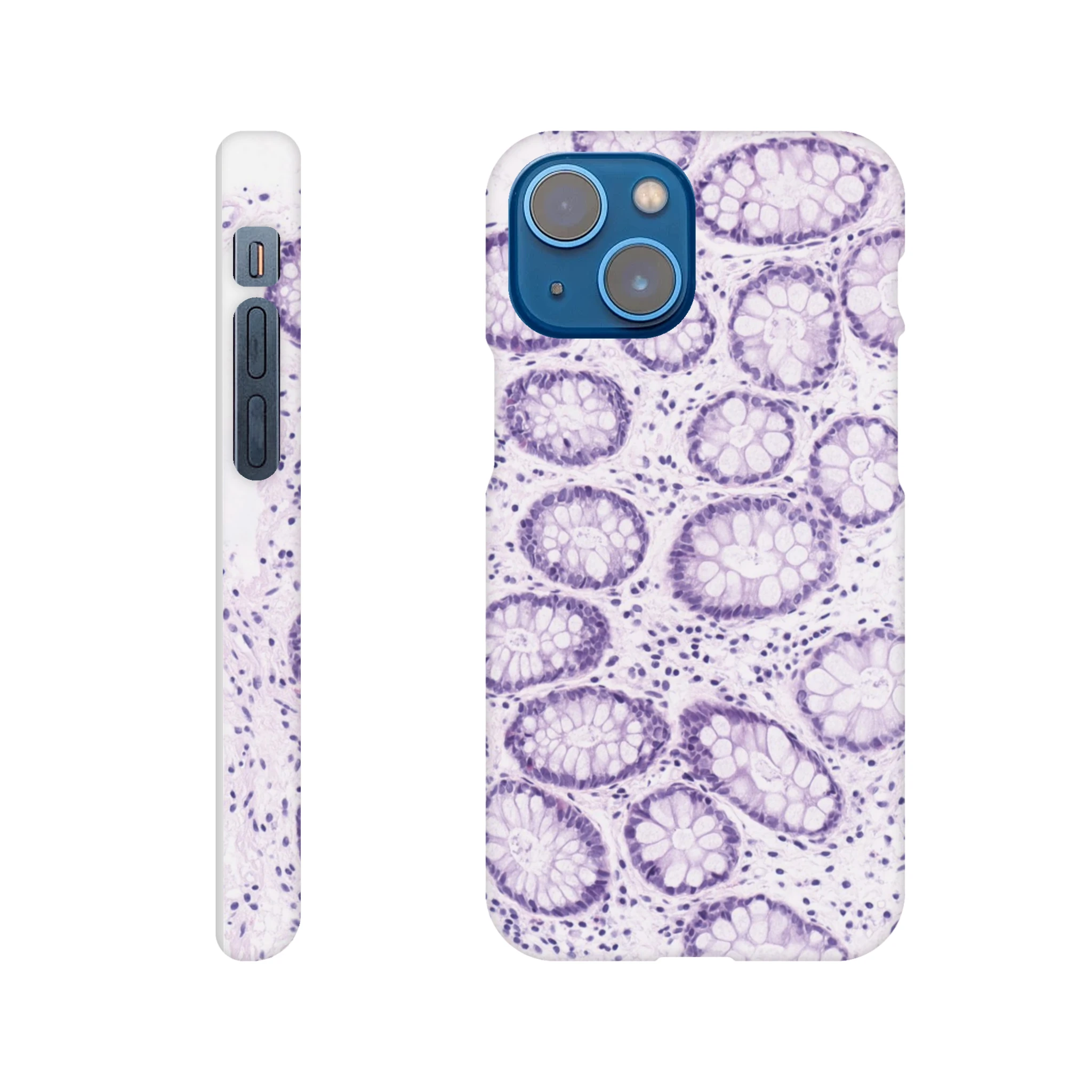 4d101f23-7f5e-407d-b4d4-ecaf782f7859