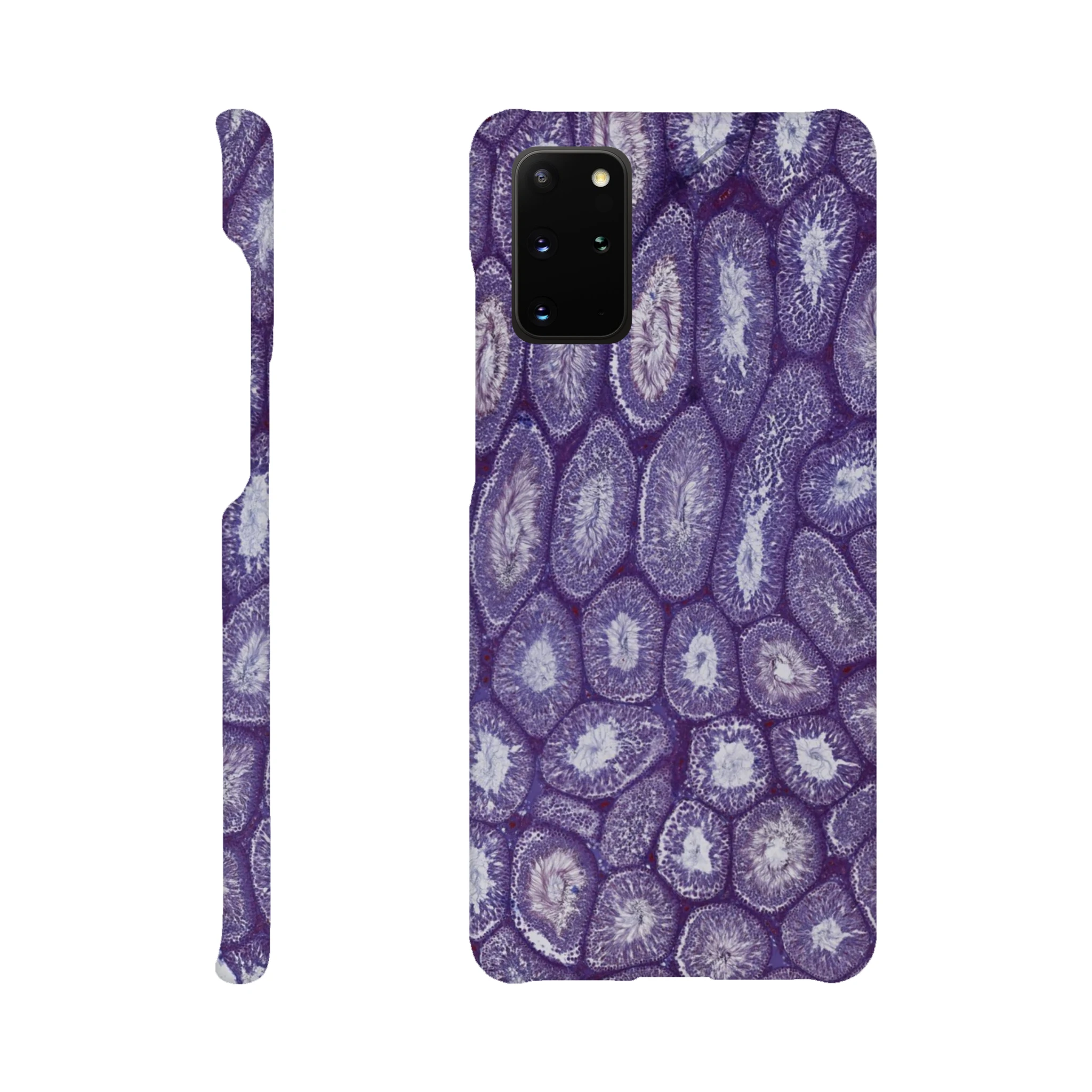 4f12a4b2-4878-4cf0-b1d2-95b45a87f2f4