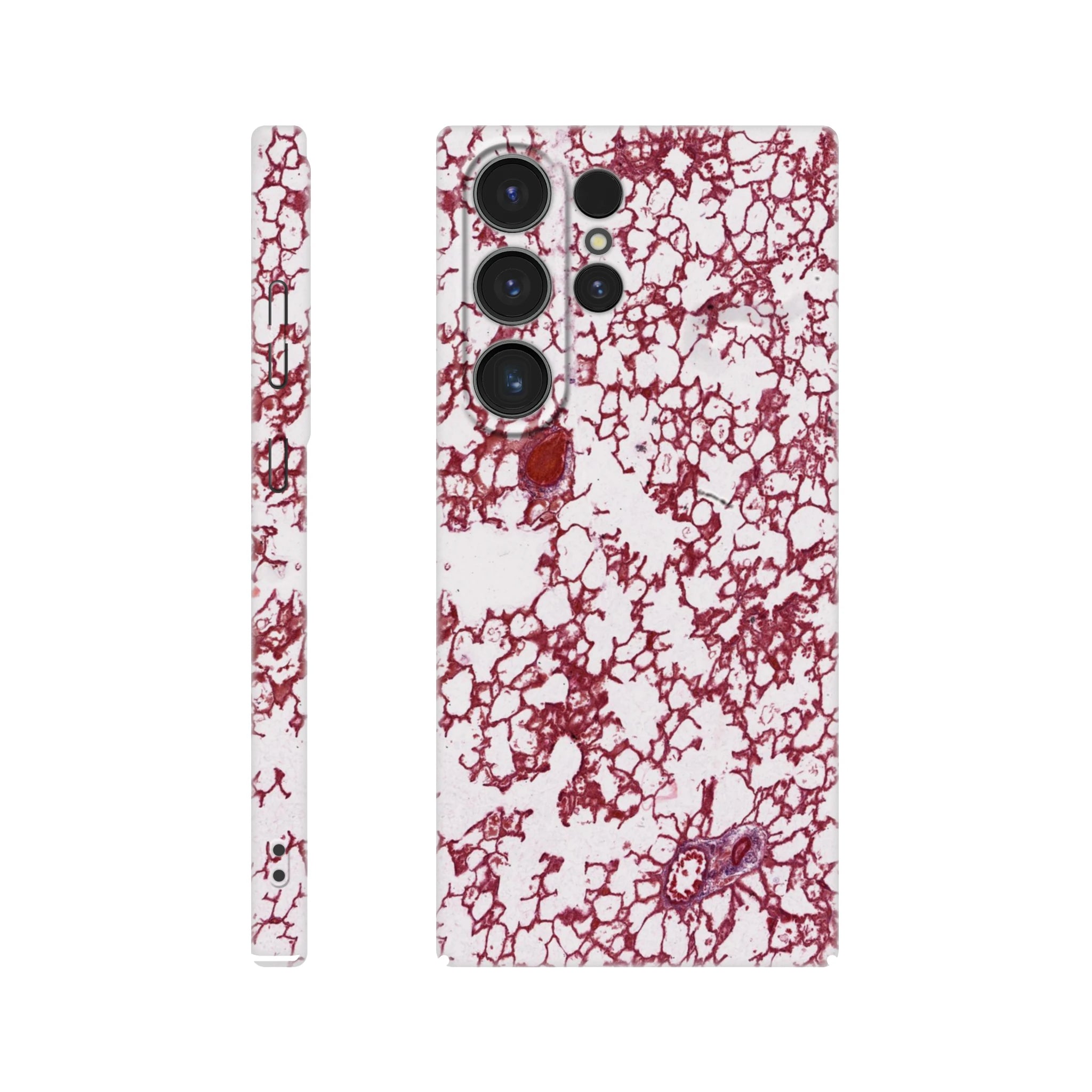 508657d1-1fdb-4259-bea8-5071d0c90c9b