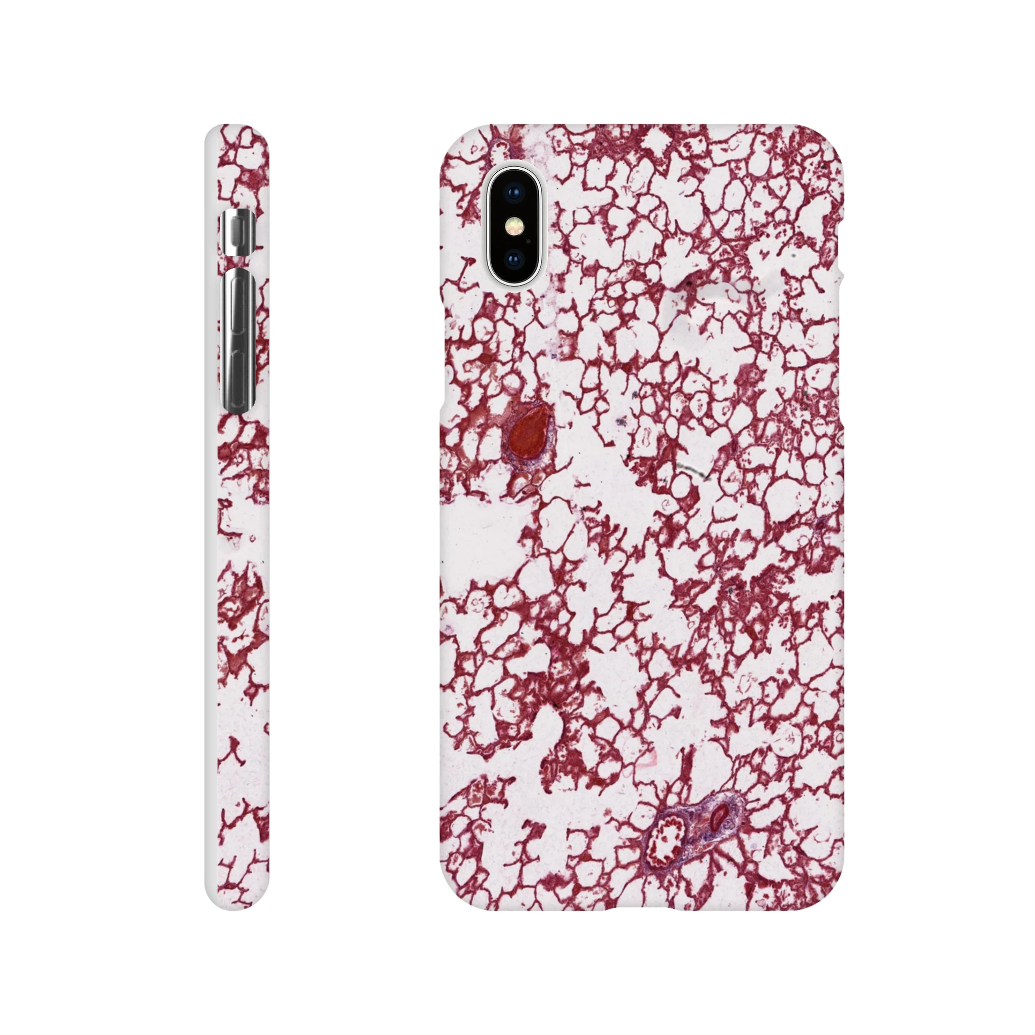 508ec165-7366-4654-9866-3d1db83f4055