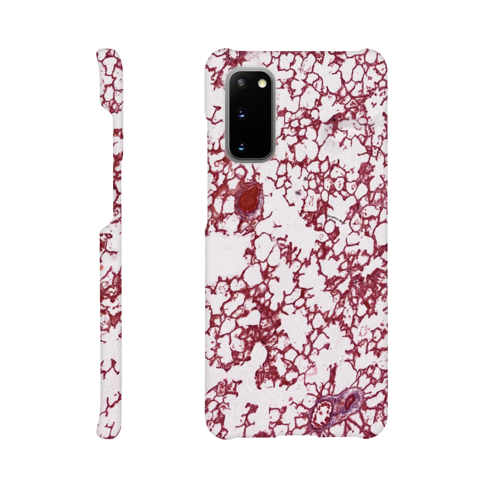 53d164e2-b7e5-43d1-9798-356a7eab683f