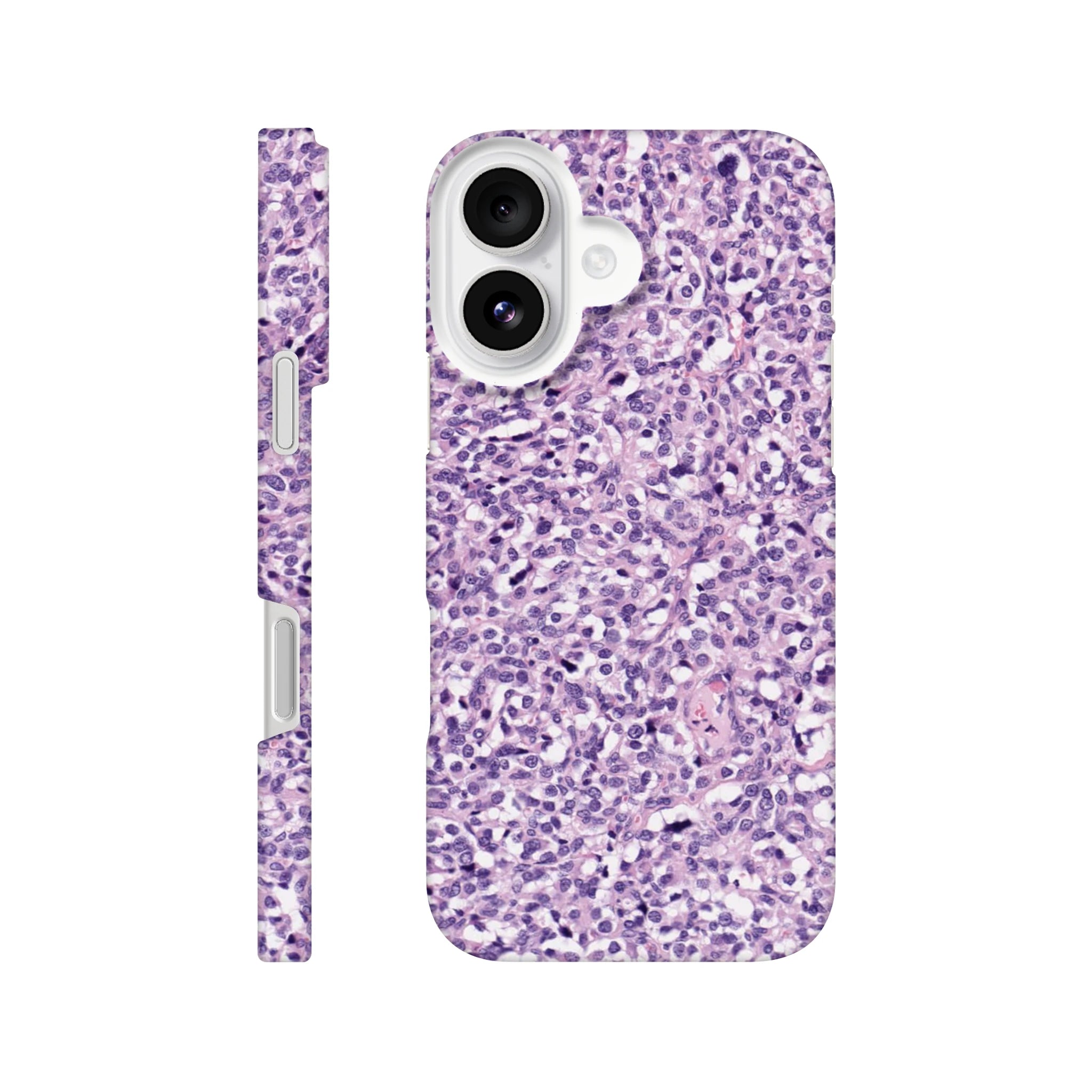 55d0628b-7bfd-4bcf-9263-c06c6db4119e