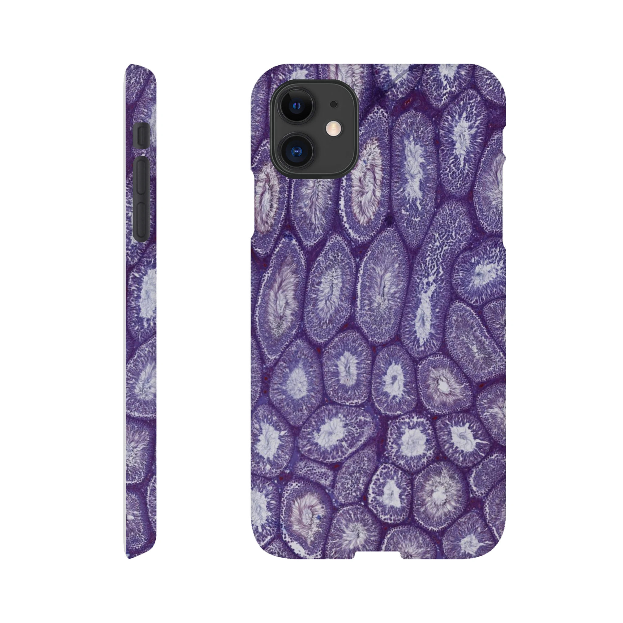 571450be-e2c5-4fd9-8af4-97d6f5b2145d